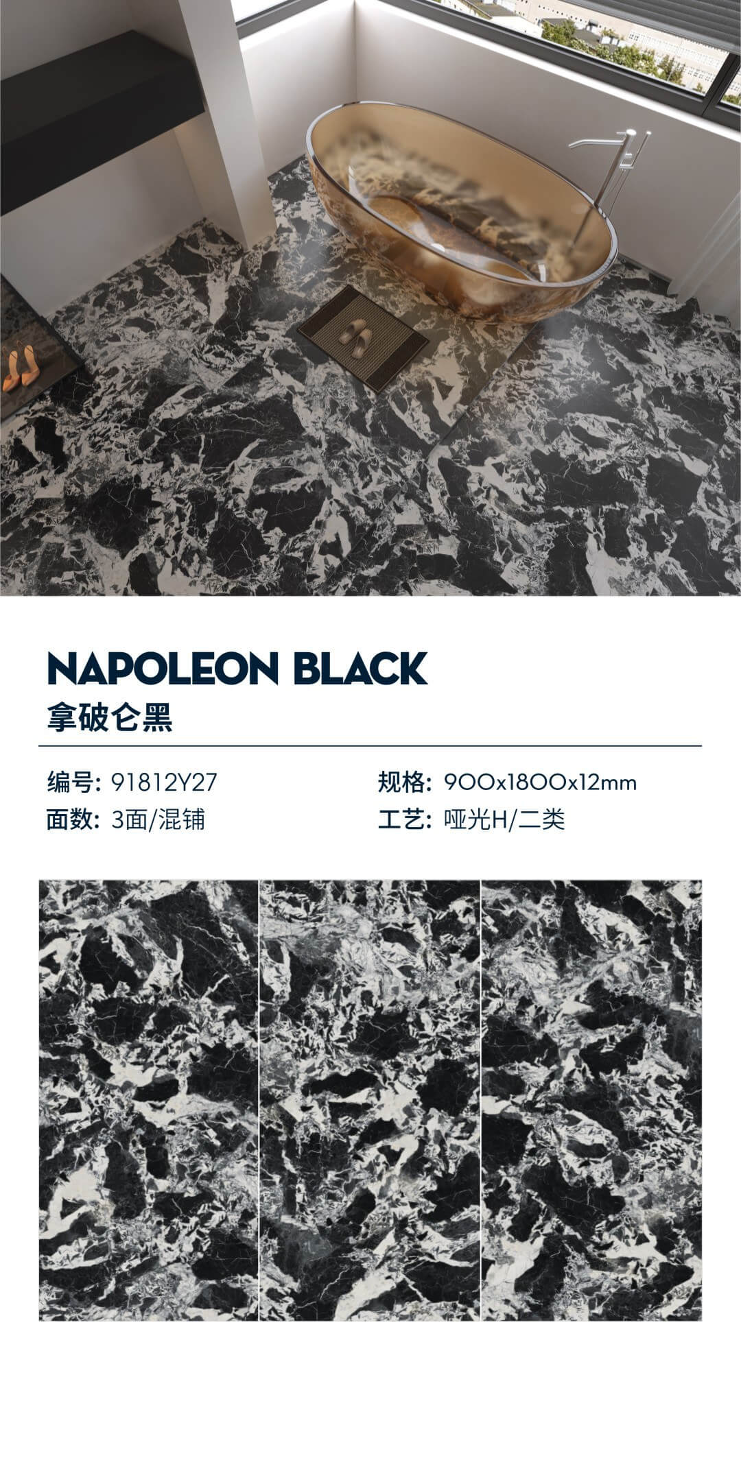 Napoleon black 91812Y27 image 1