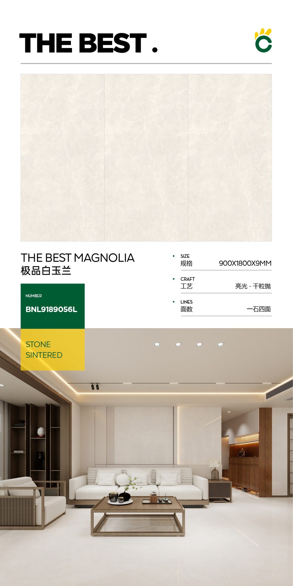 The best white magnolia 9189056L image 1