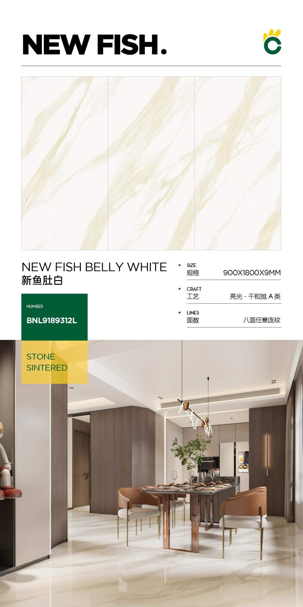 New fish maw white-type A