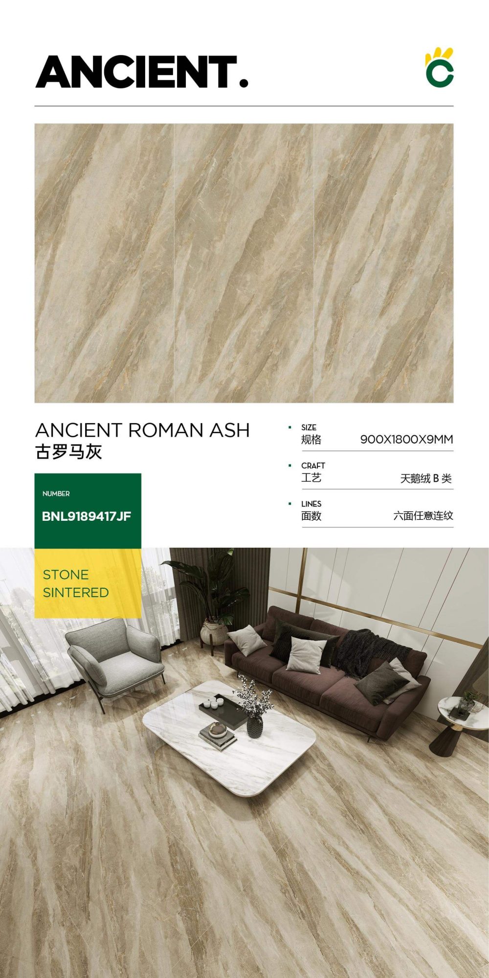 grigio romano antico 9189417JF image 1