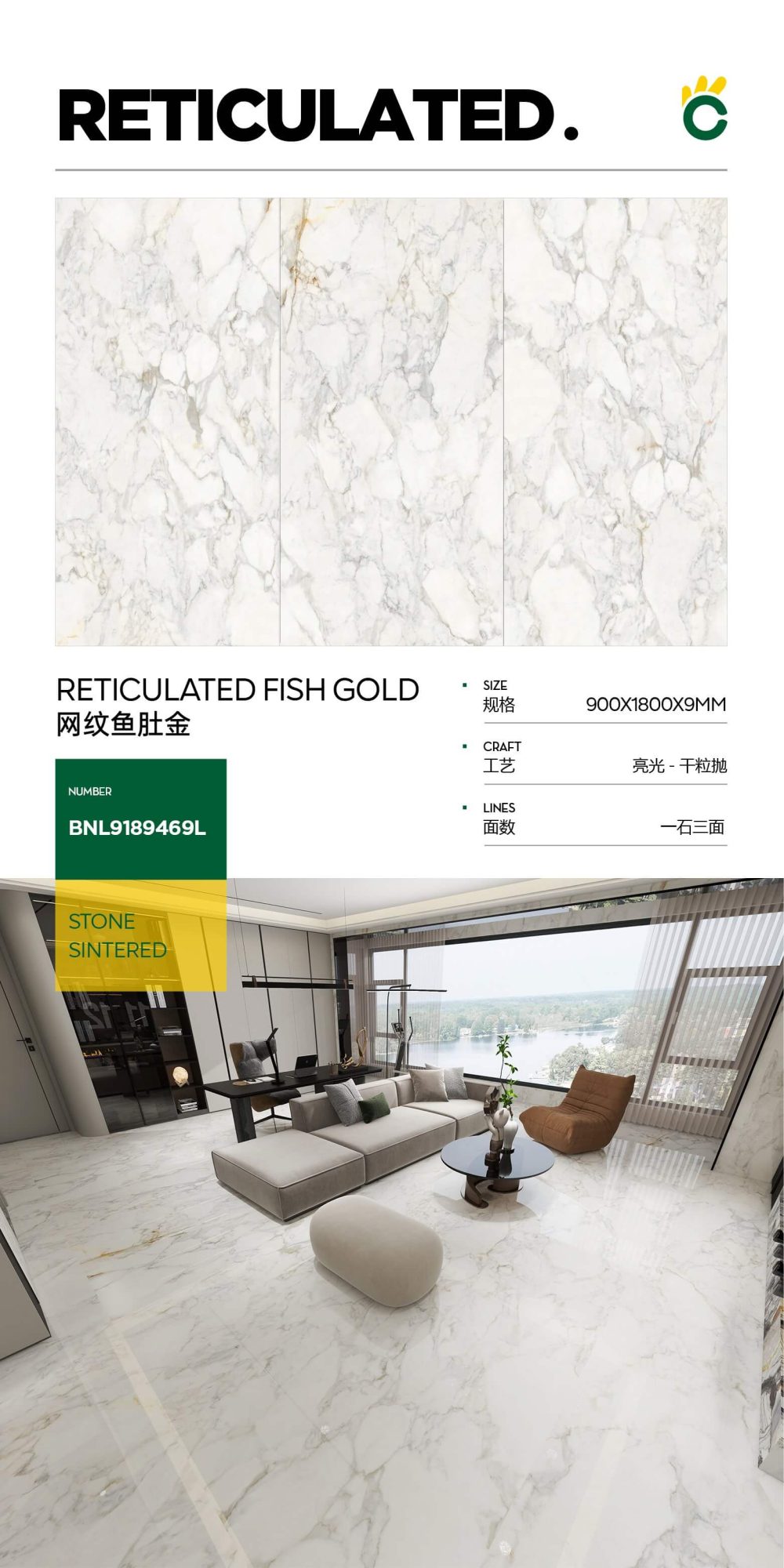 Pancia di pesce reticolata color oro 9189469L image 1