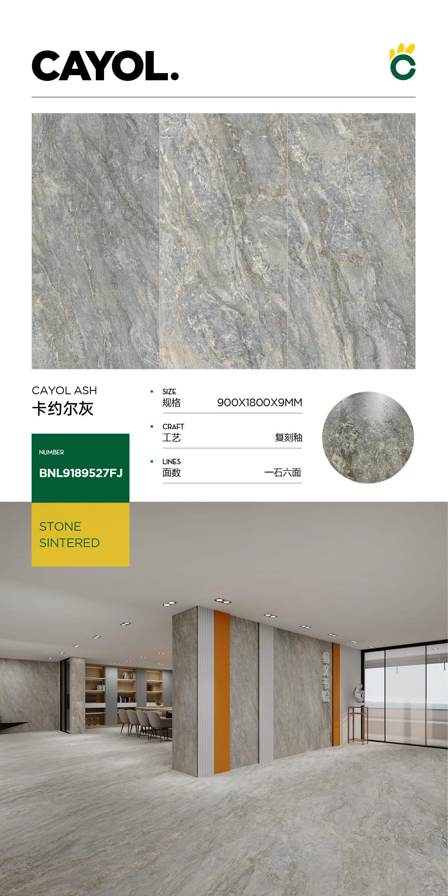 kayol gray 9189527FJ image 1