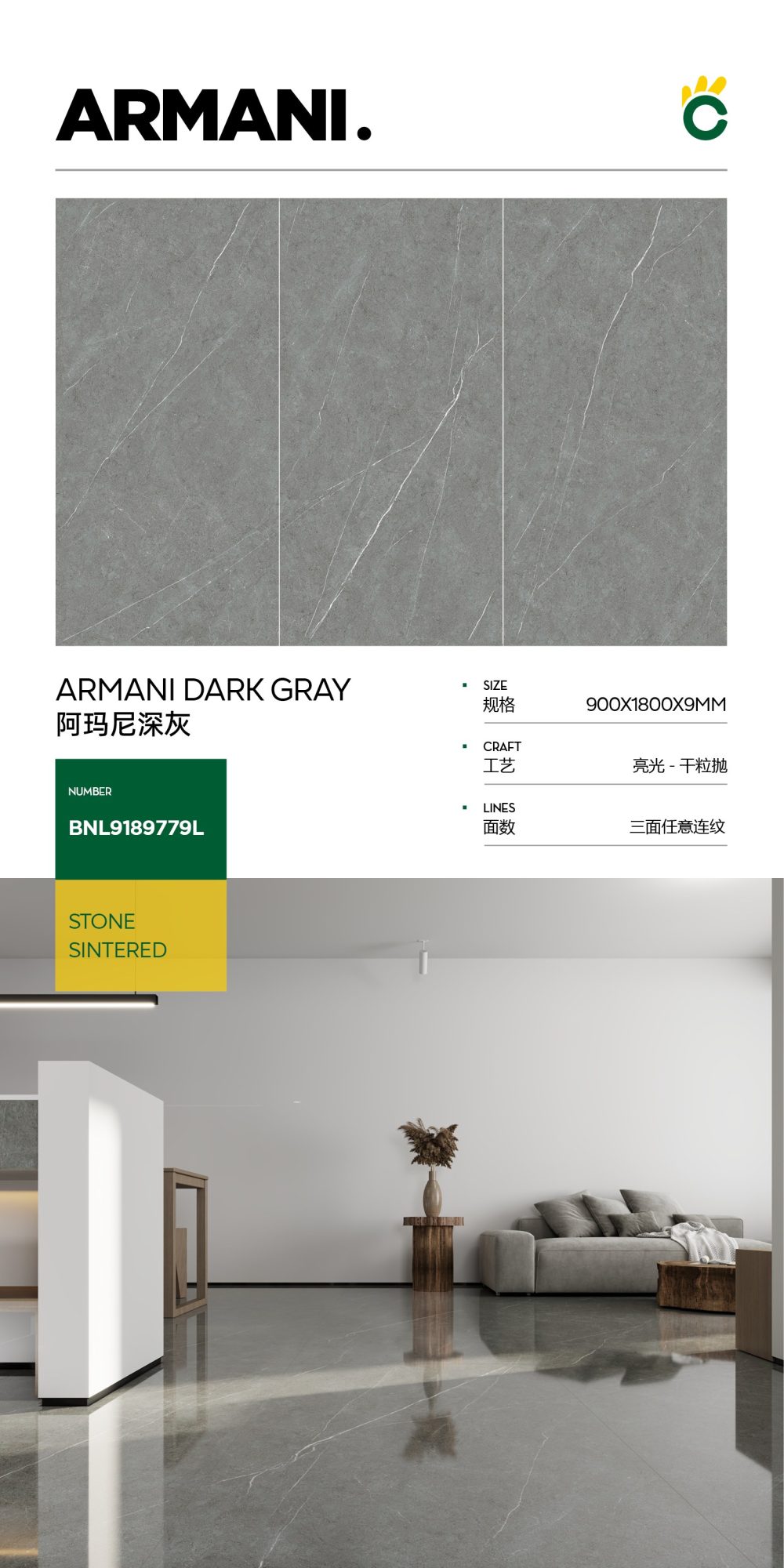 Armani dark gray