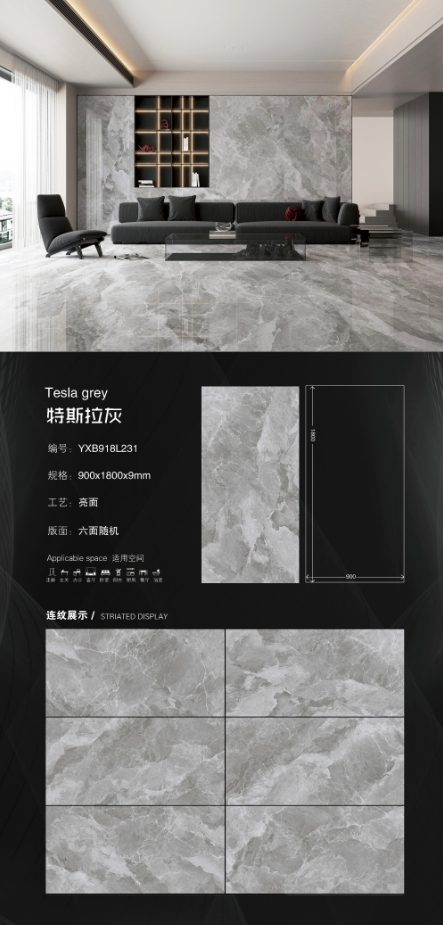 Tesla gray 918L231 image 1