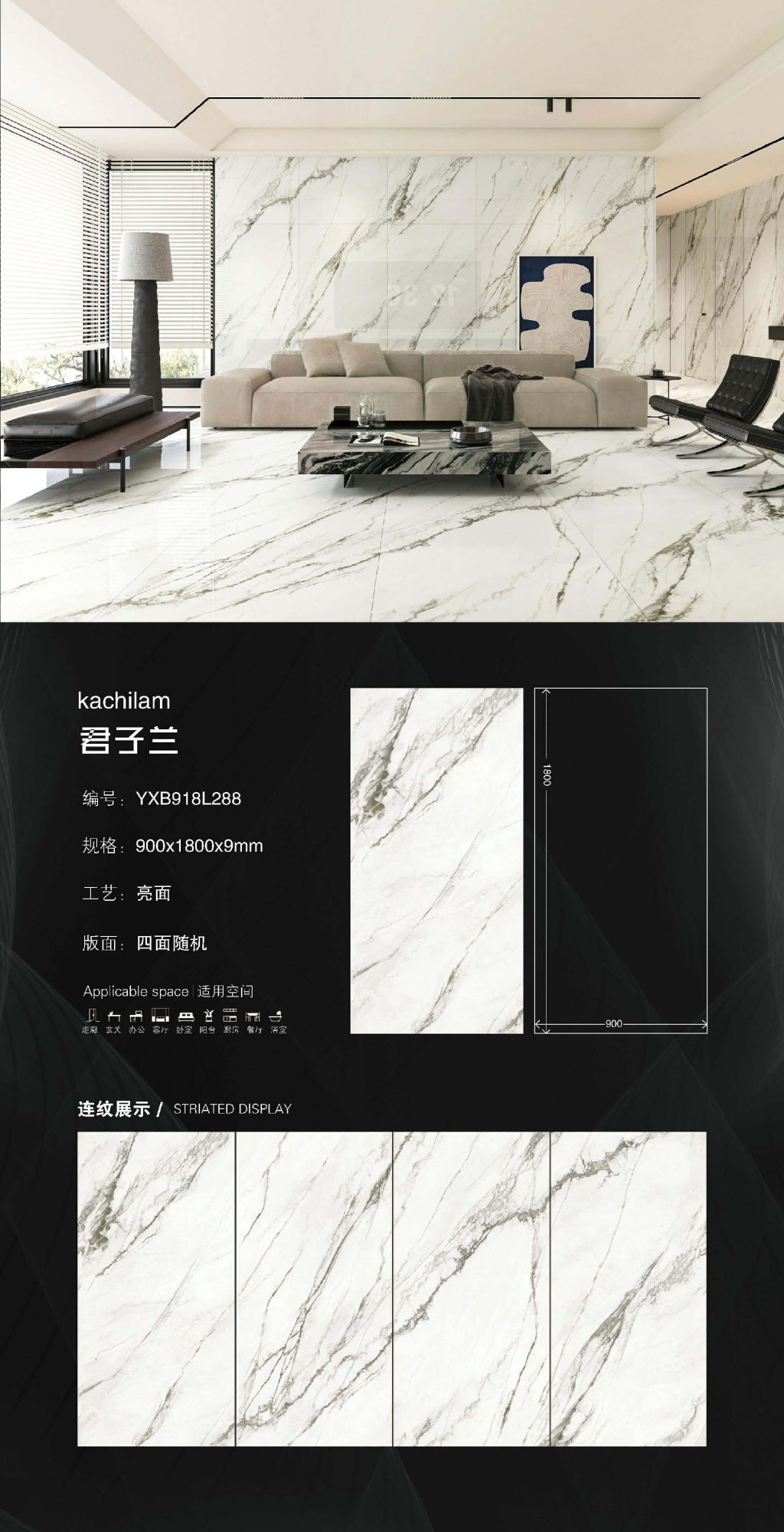 Кливия 918L288 image 1