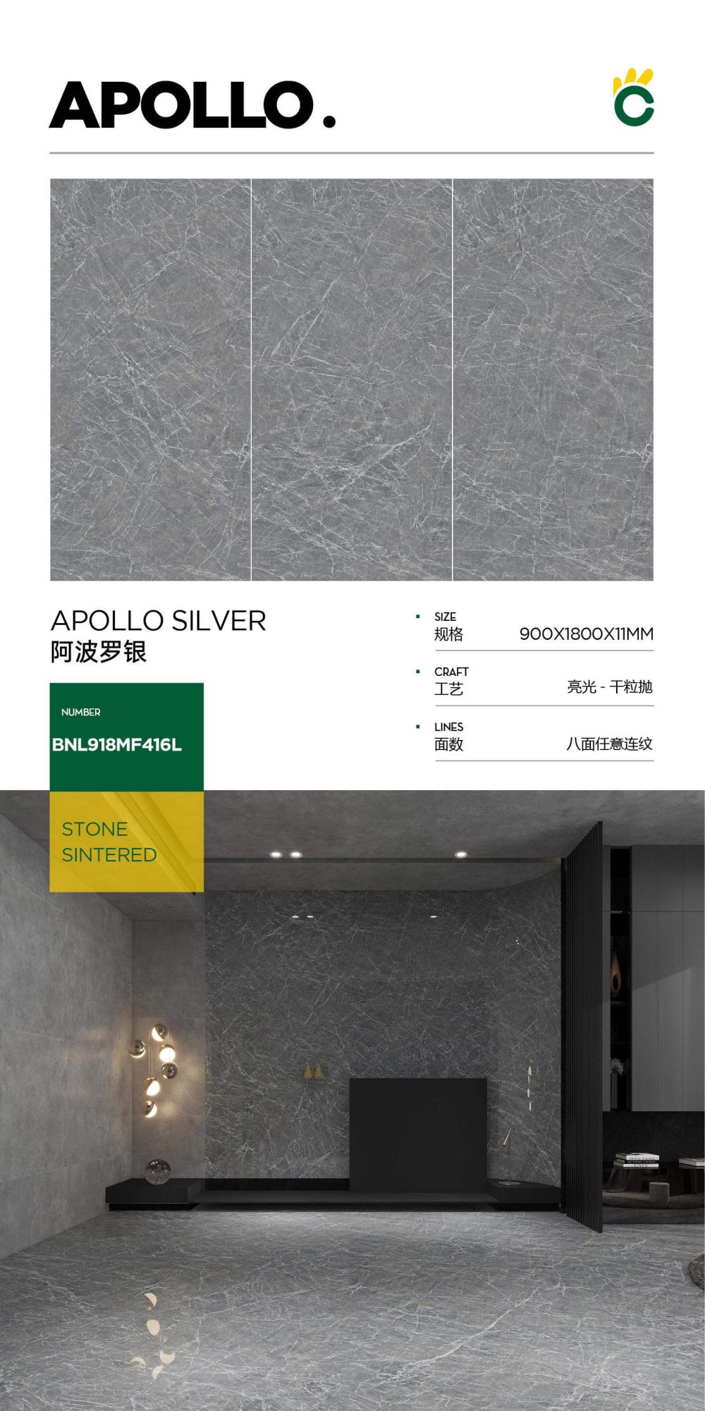 Apollo Silver 918MF416L image 1