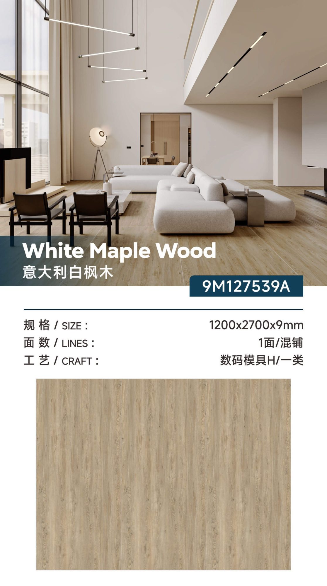 Italian white maple 9M127539A  image 1