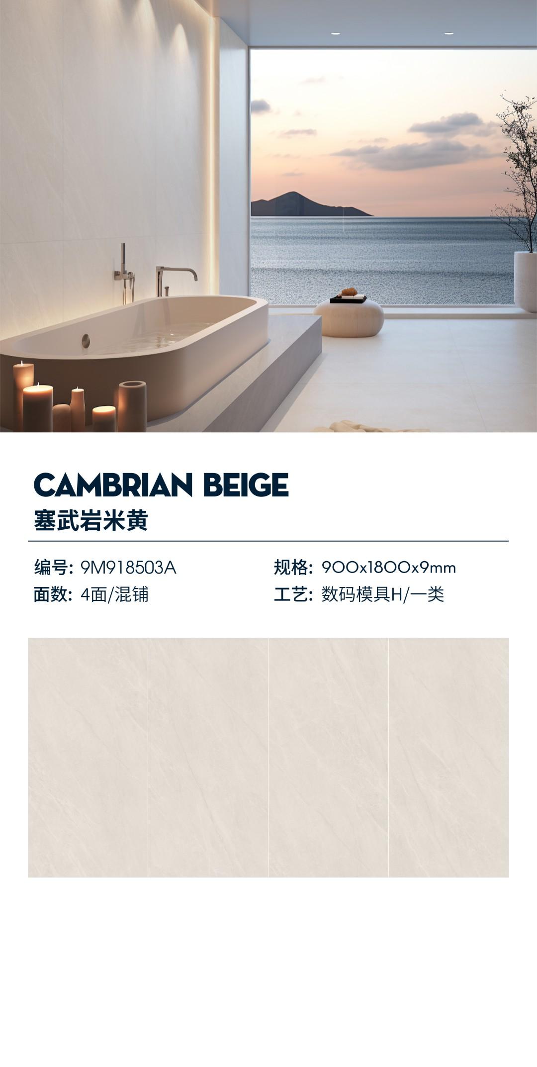 Cambrian beige 9M918503A image 1