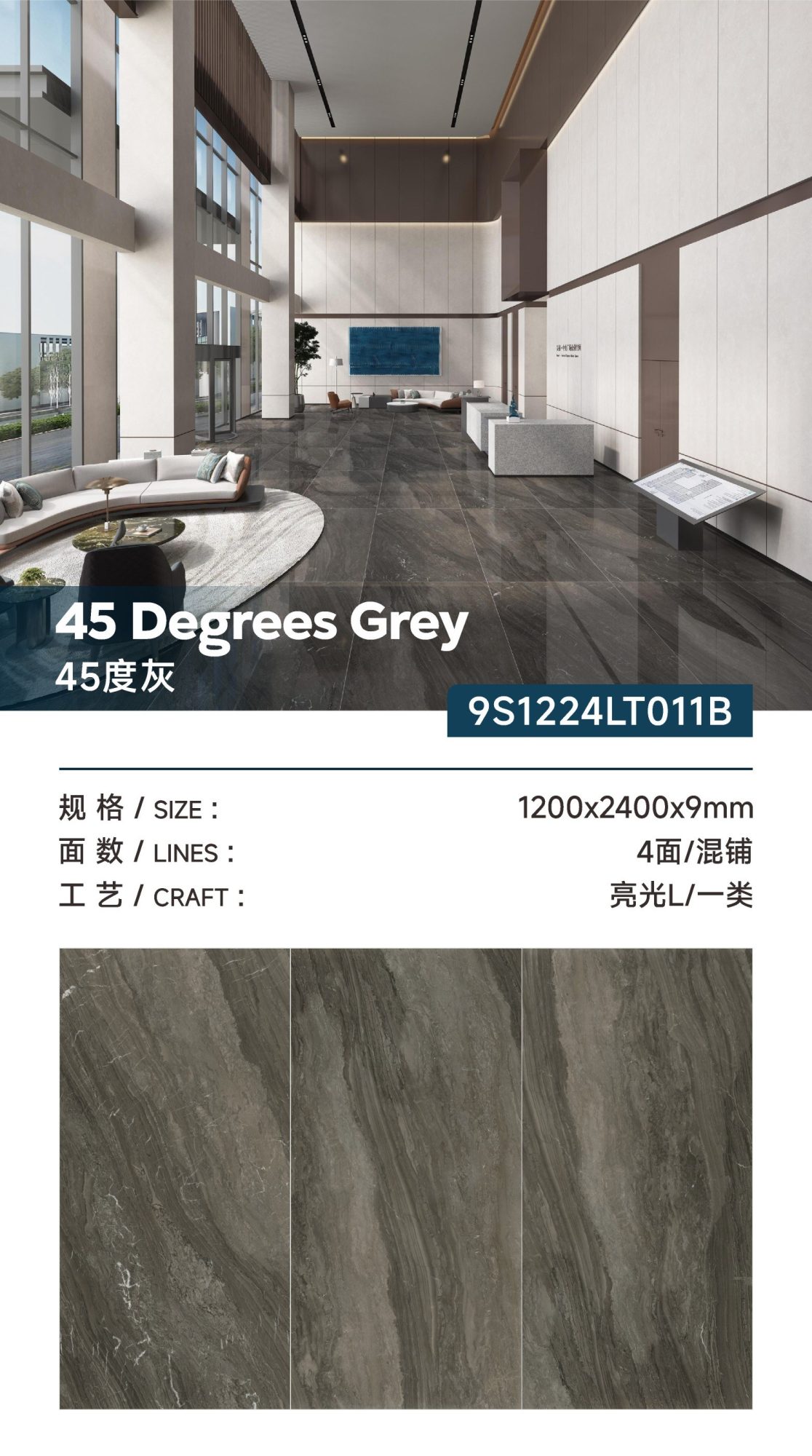 45 shades of gray 9S1224LT011B image 1