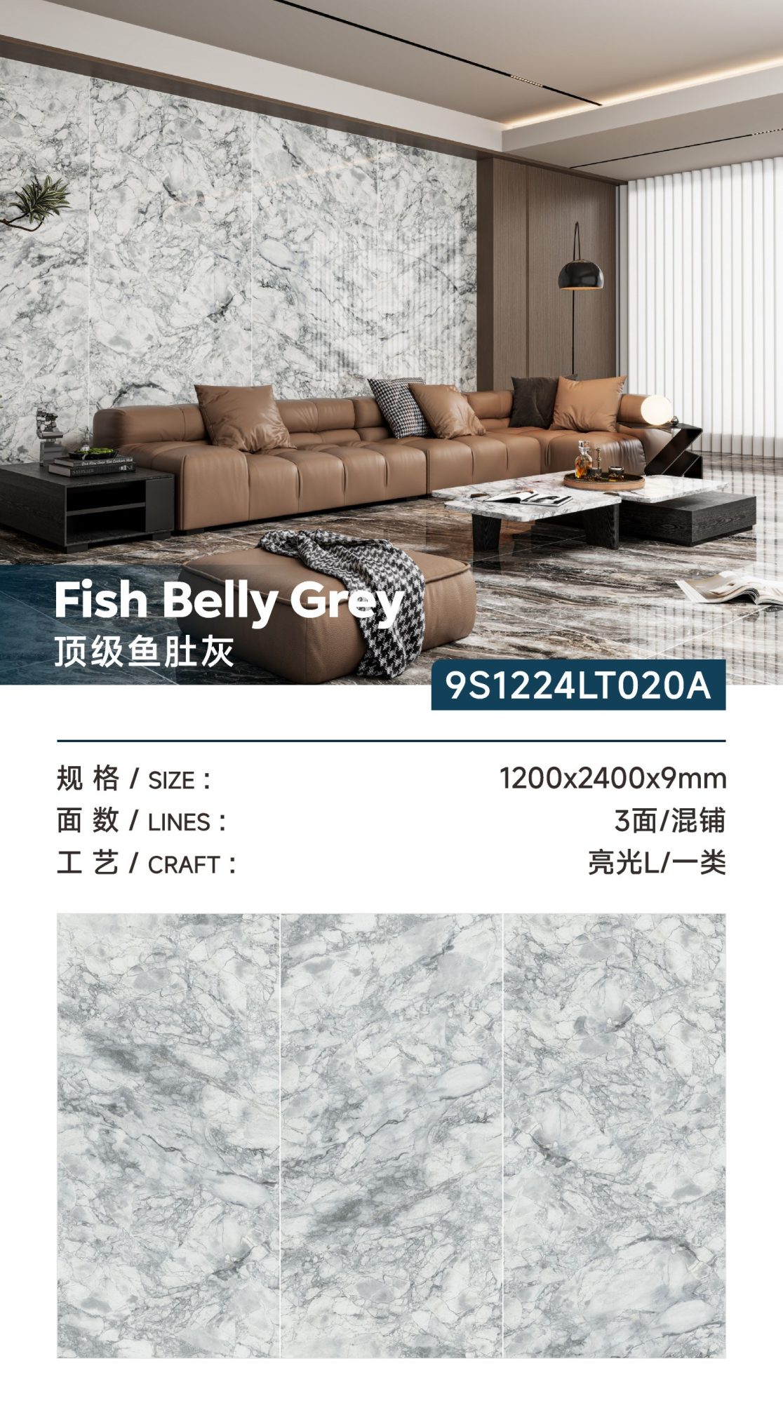 Top quality fish maw gray 9S1224LT020A image 1