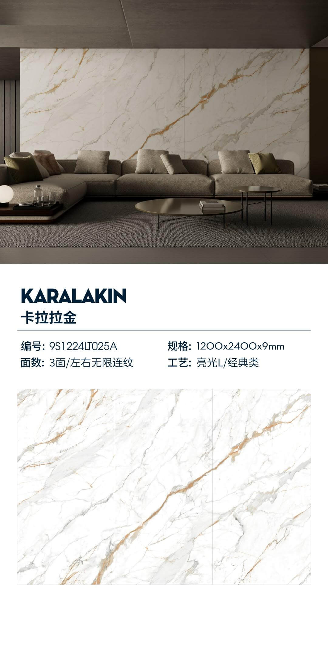 Kara Larkin 9S1224LT025A image 1