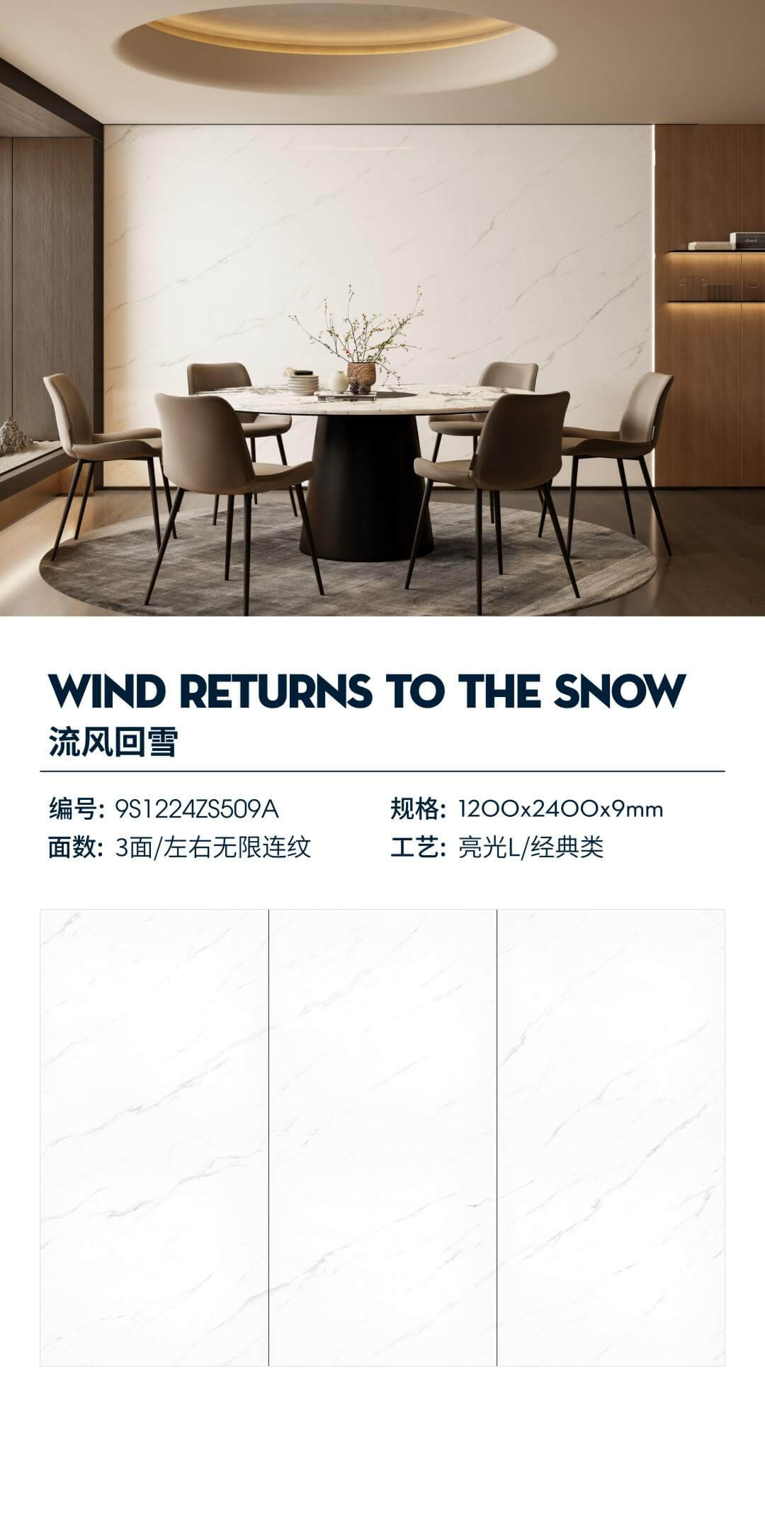 The flowing wind returns to the snow 9S1224ZS509A image 1