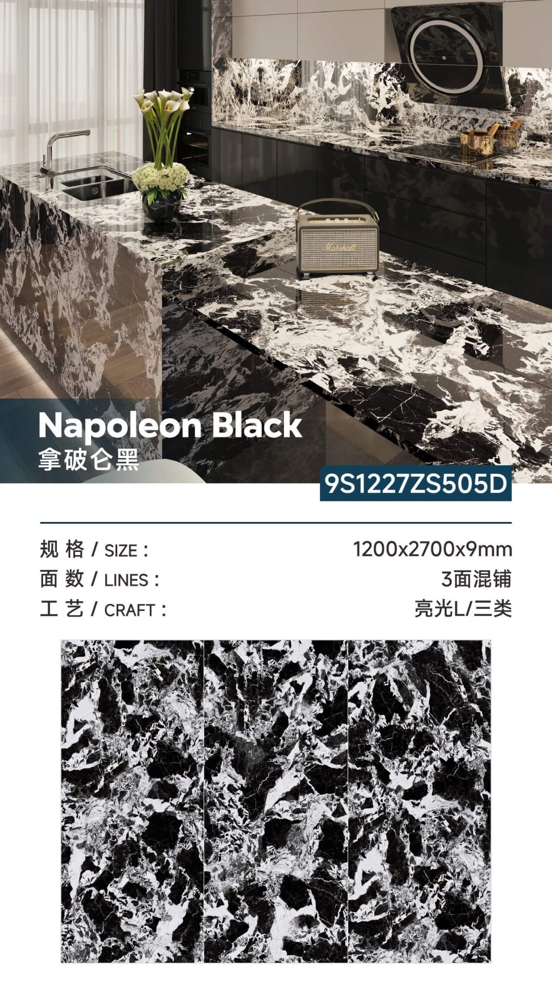 Napoleon black 9S1227ZS505D image 1