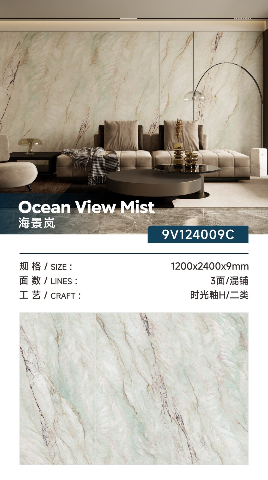 Hai Jinglan 9V124009C image 1