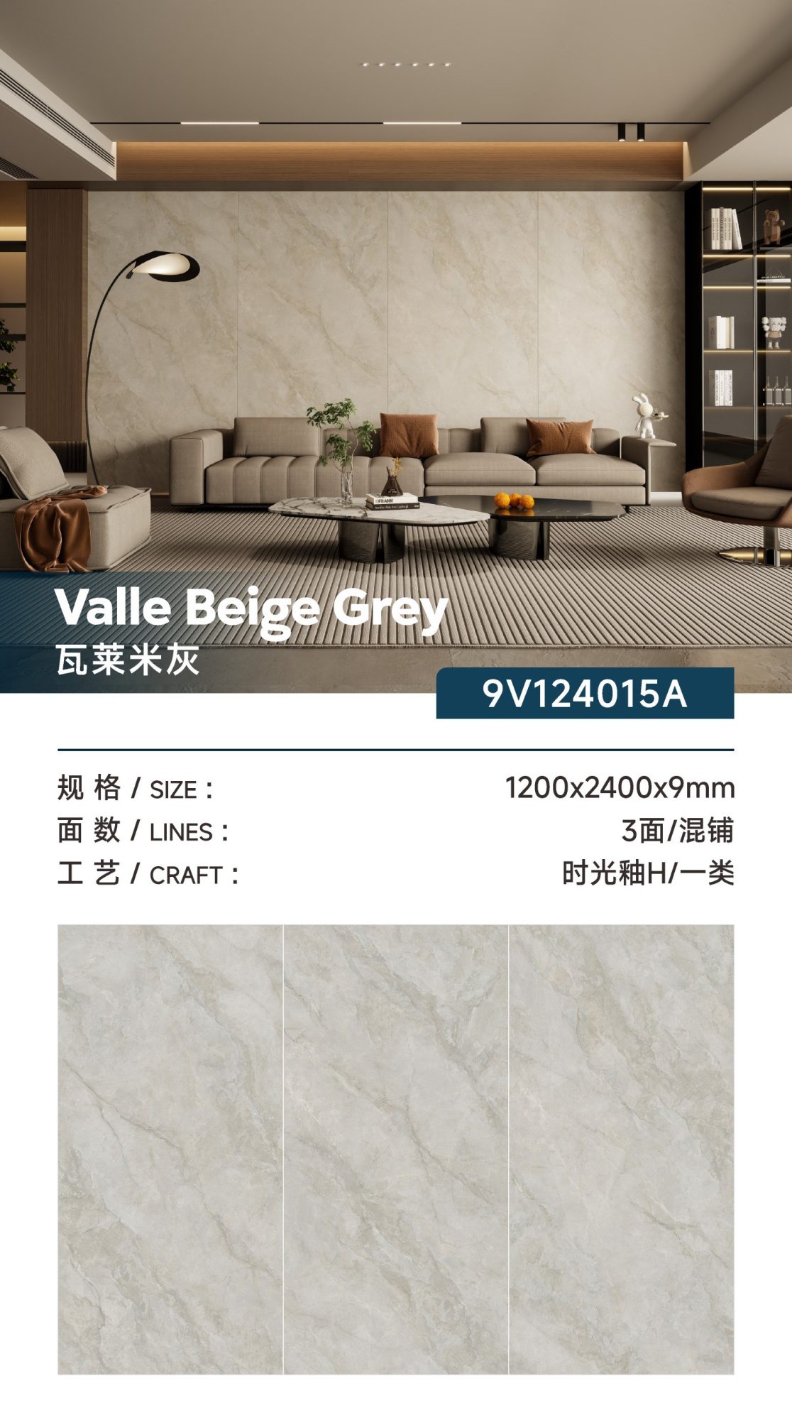 Valemi gray 9V124015A image 1