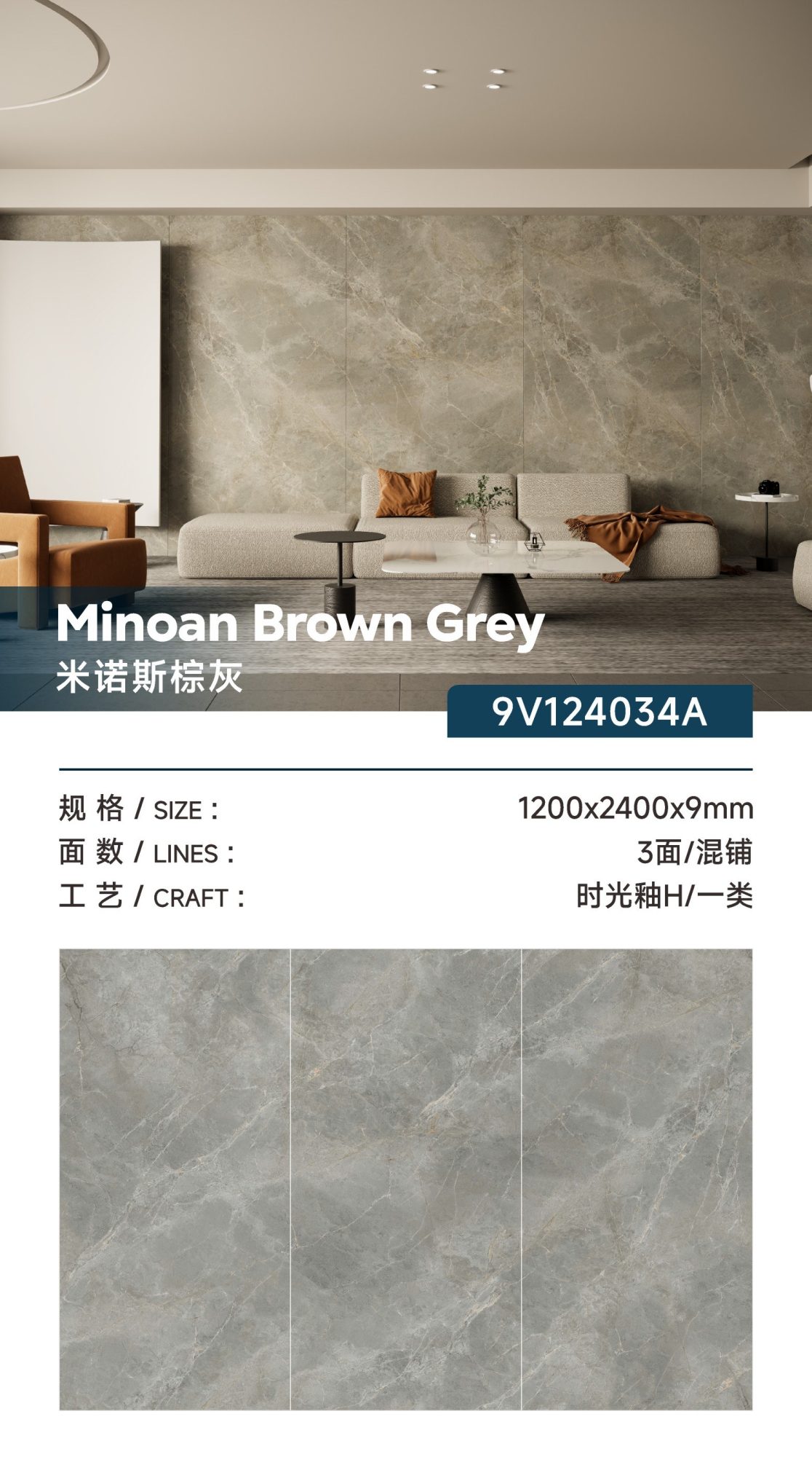 Grigio marrone minoico 9V124034A image 1