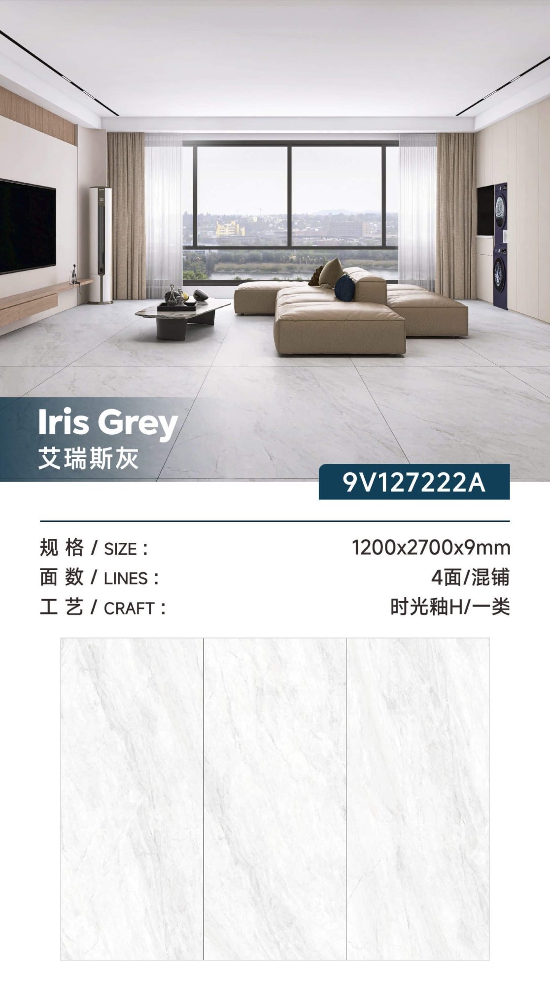 Iris gray 9V127222A image 1