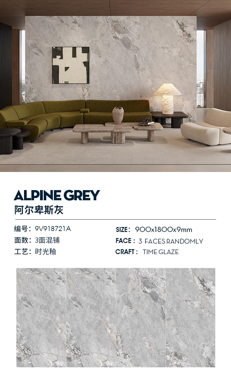 alpine gray 9V918721A image 1