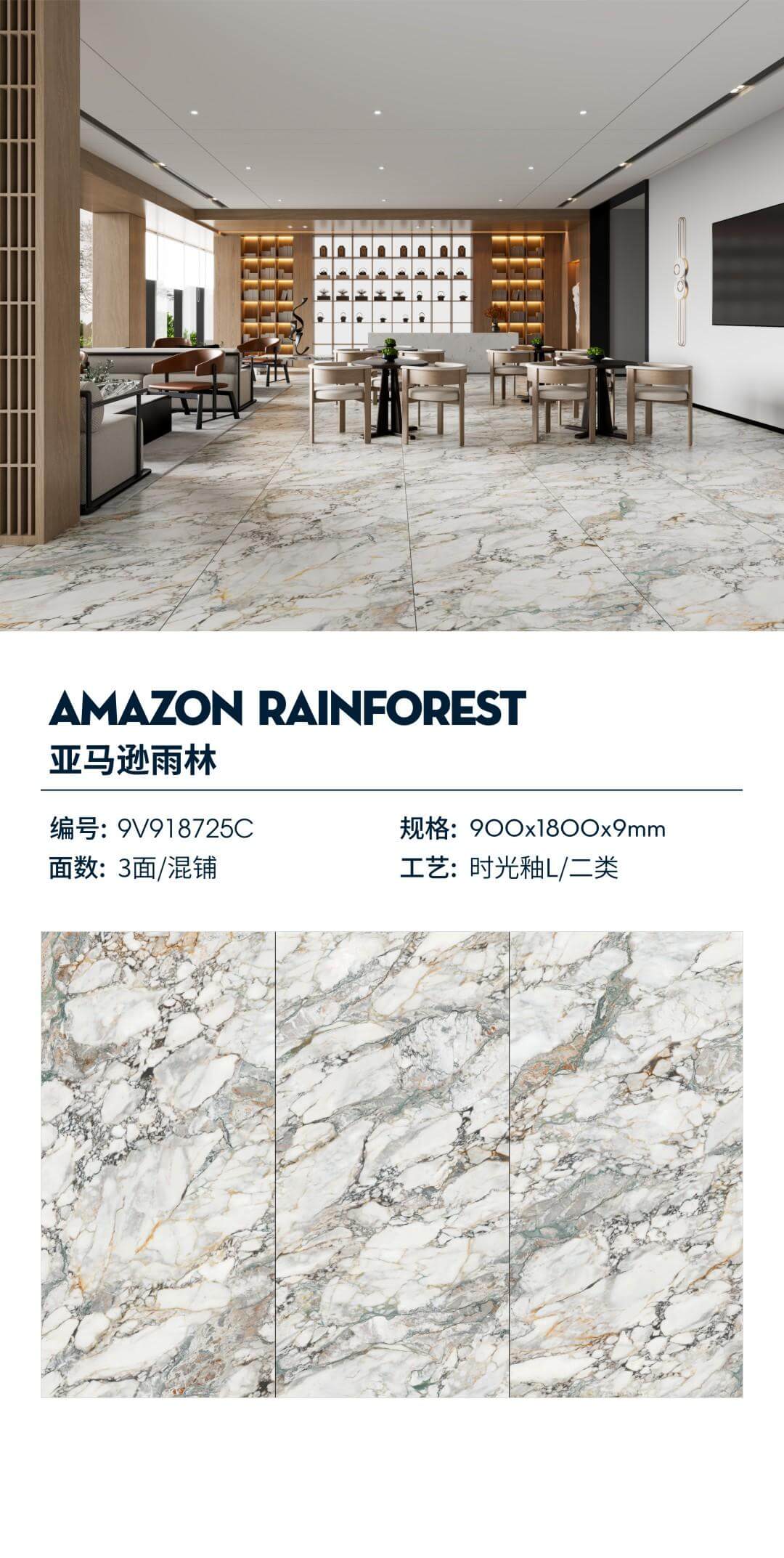amazon rainforest 9V918725C image 1