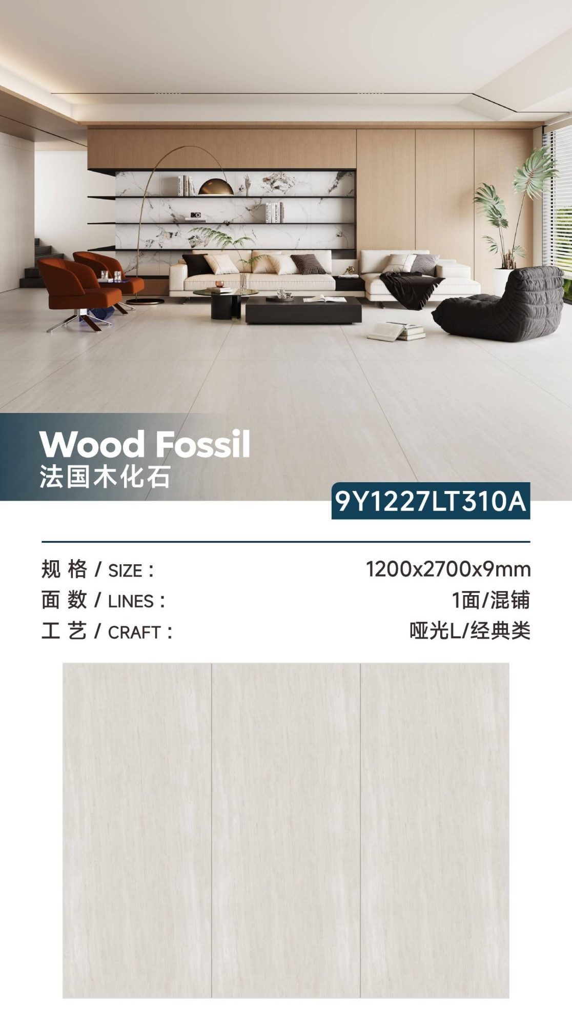 French petrified wood 9Y1227LT310A image 1