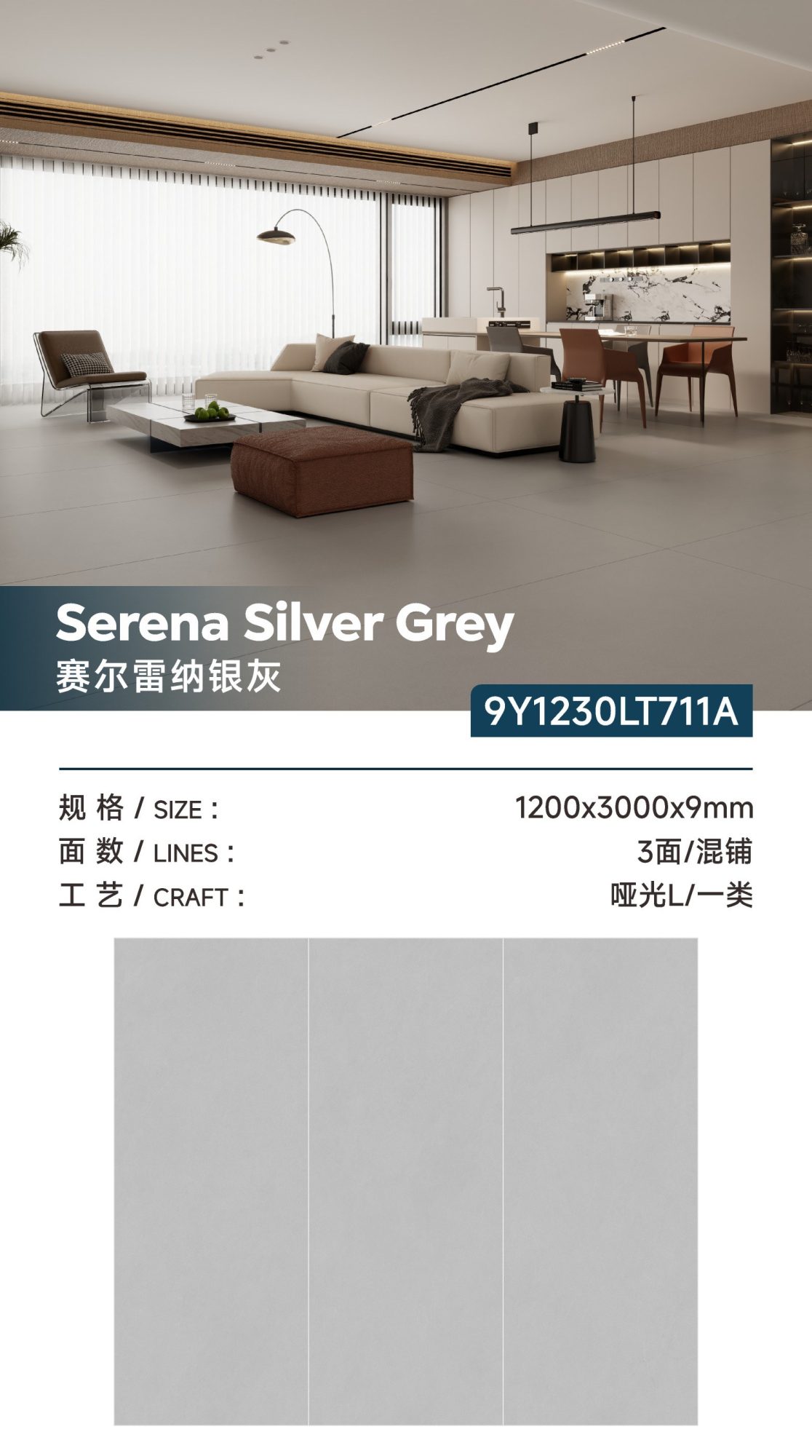 Serrena silver gray 9Y1230LT711A image 1