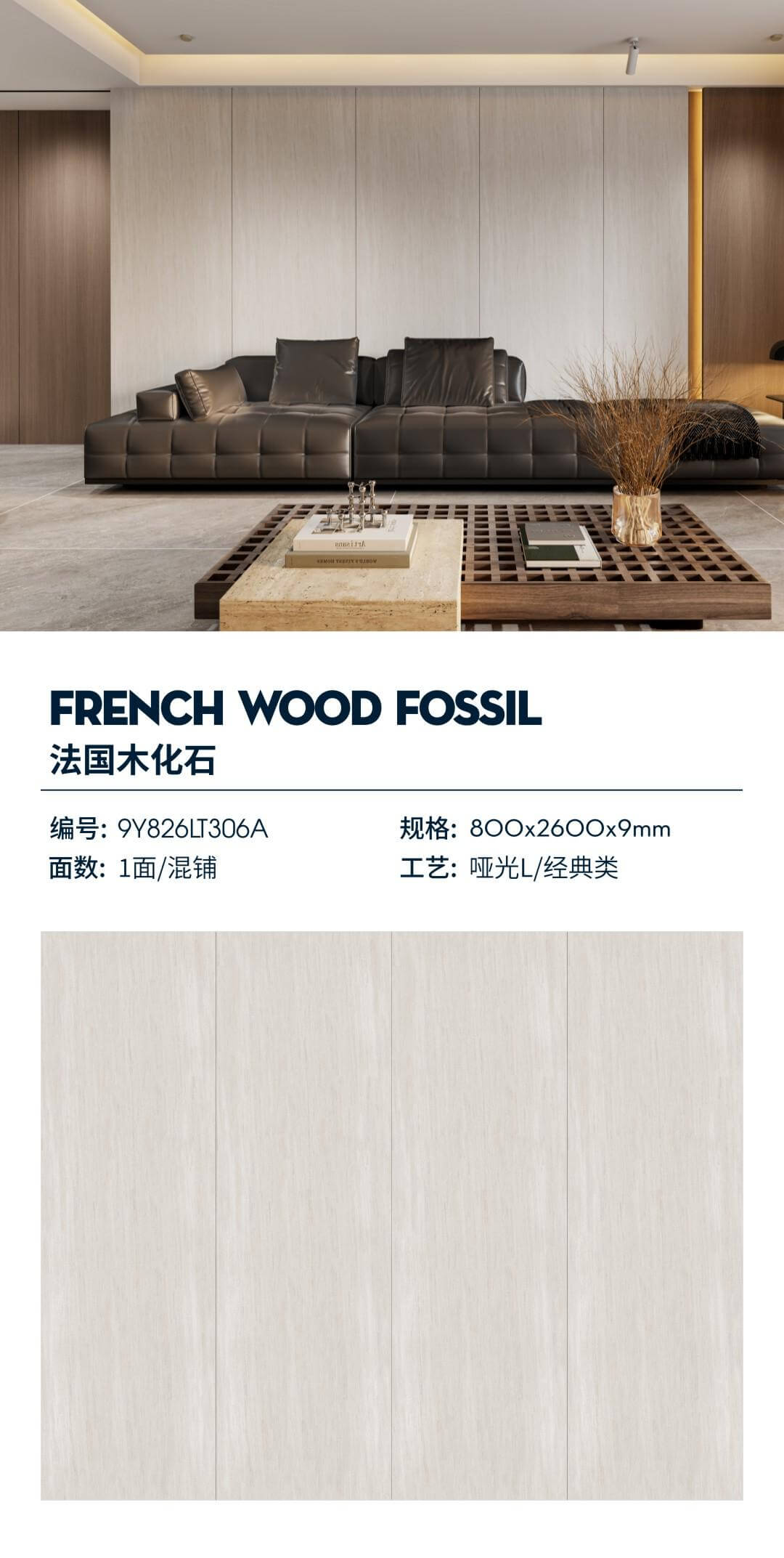 French petrified wood 9Y826LT306A image 1