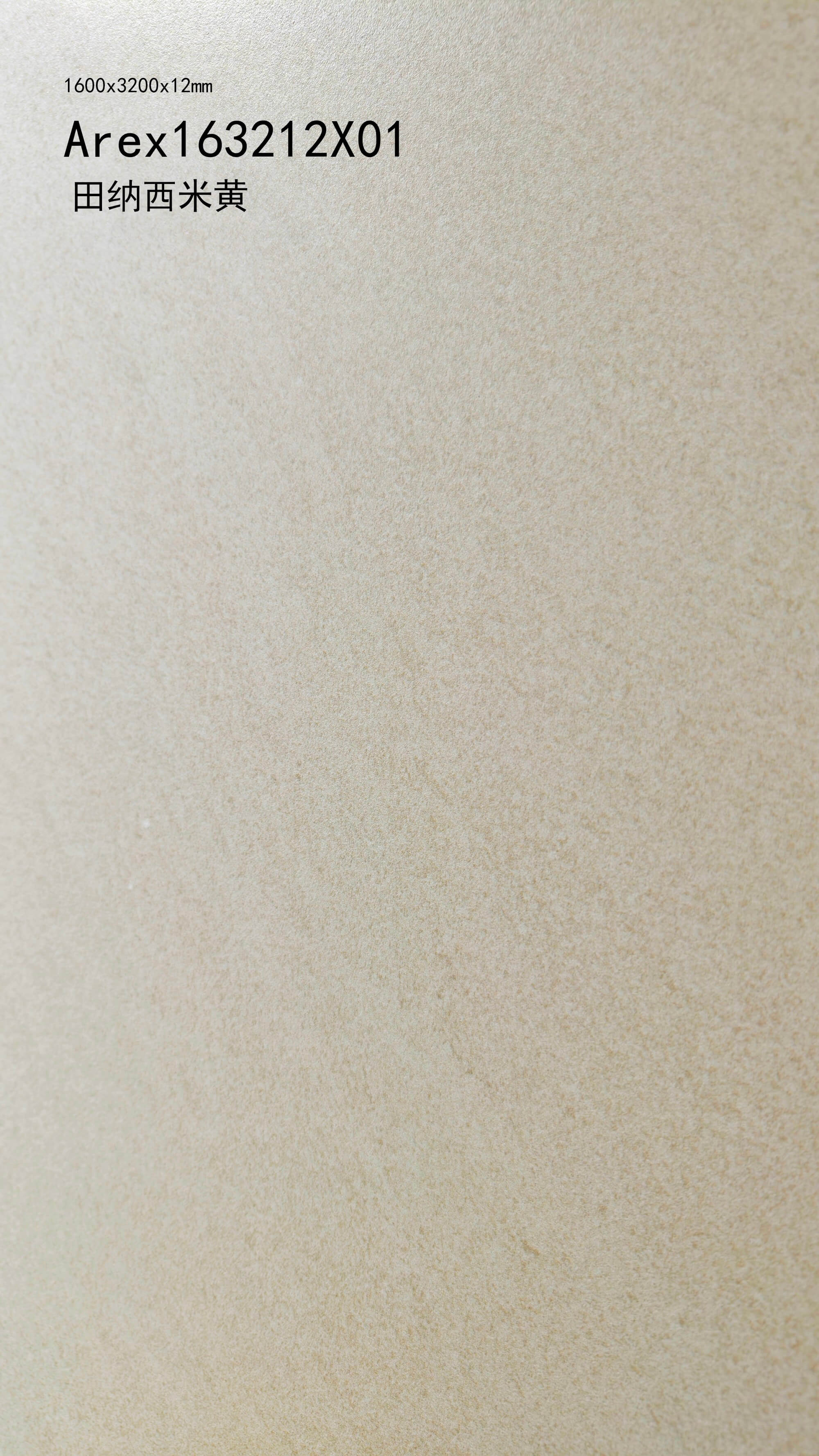 Tennessee beige (yellow blank) Arex163212X01 image 3