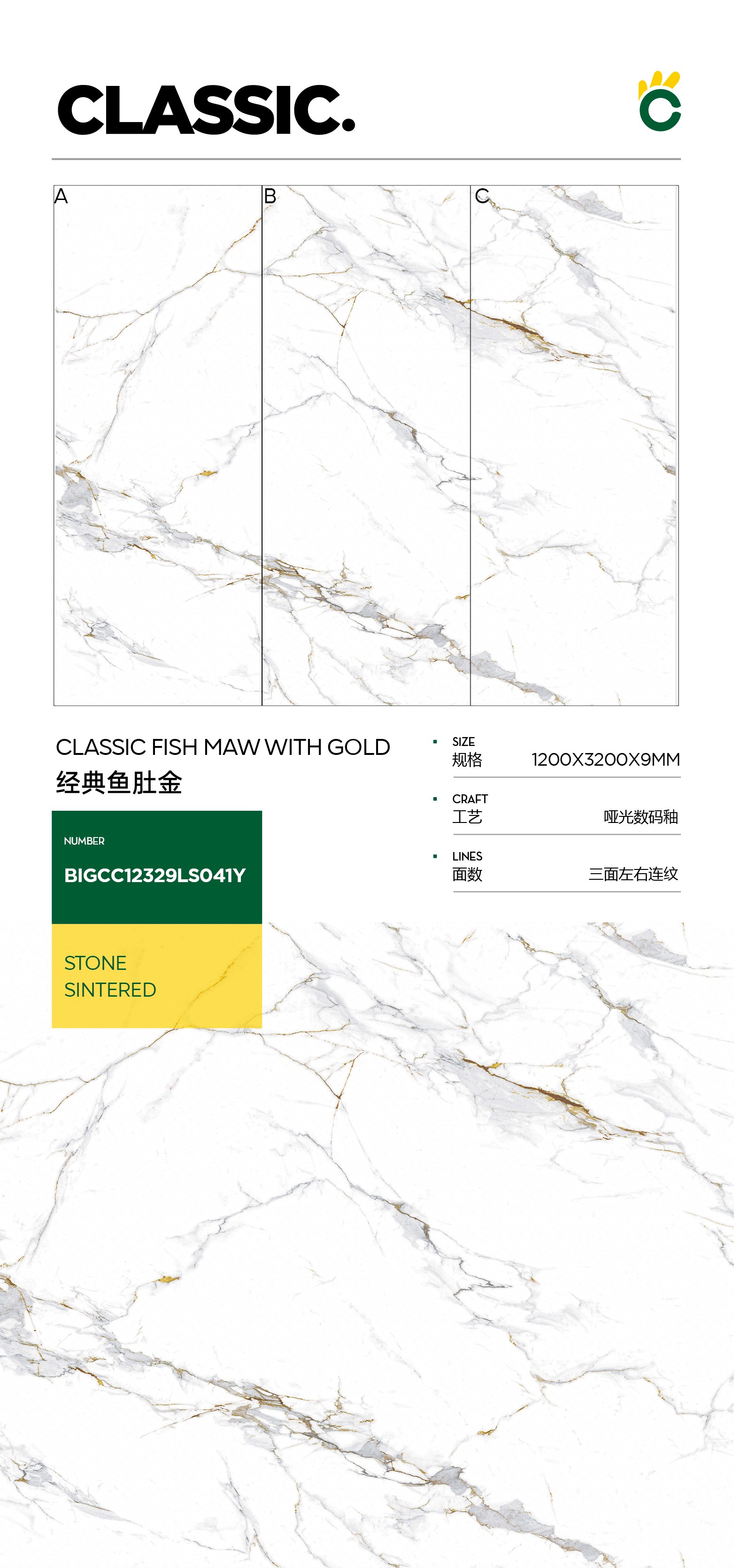 经典鱼肚金