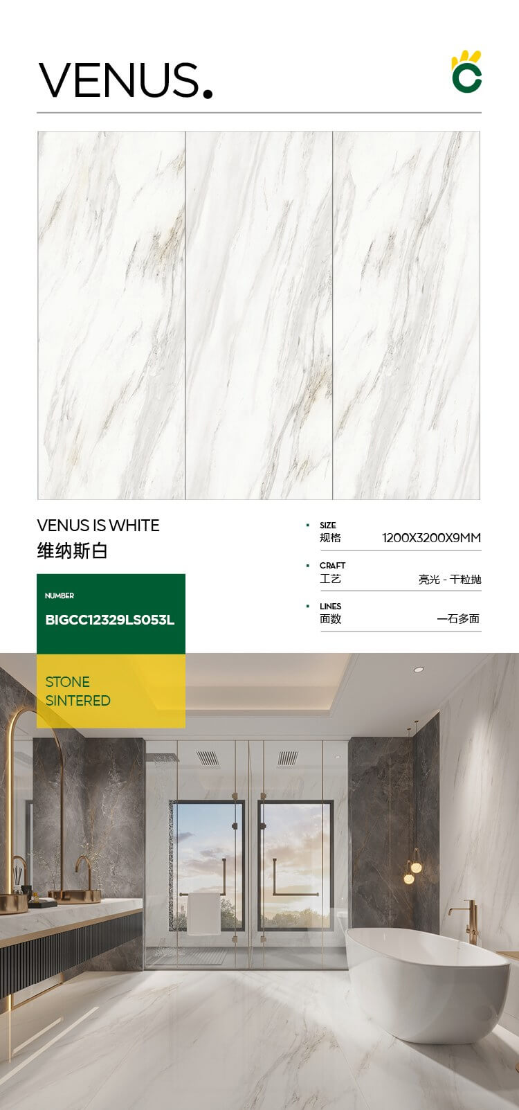 维纳斯白