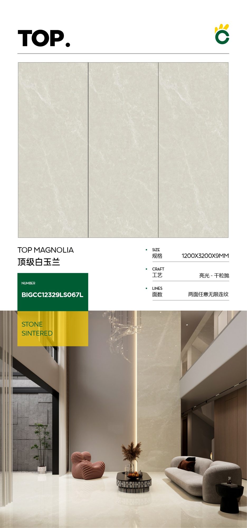 顶级白玉兰