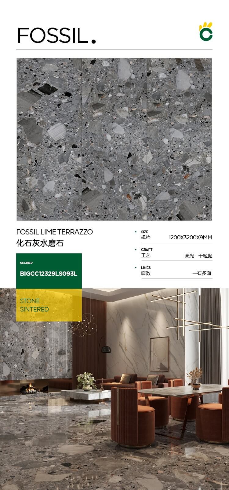 Fossilized lime terrazzo