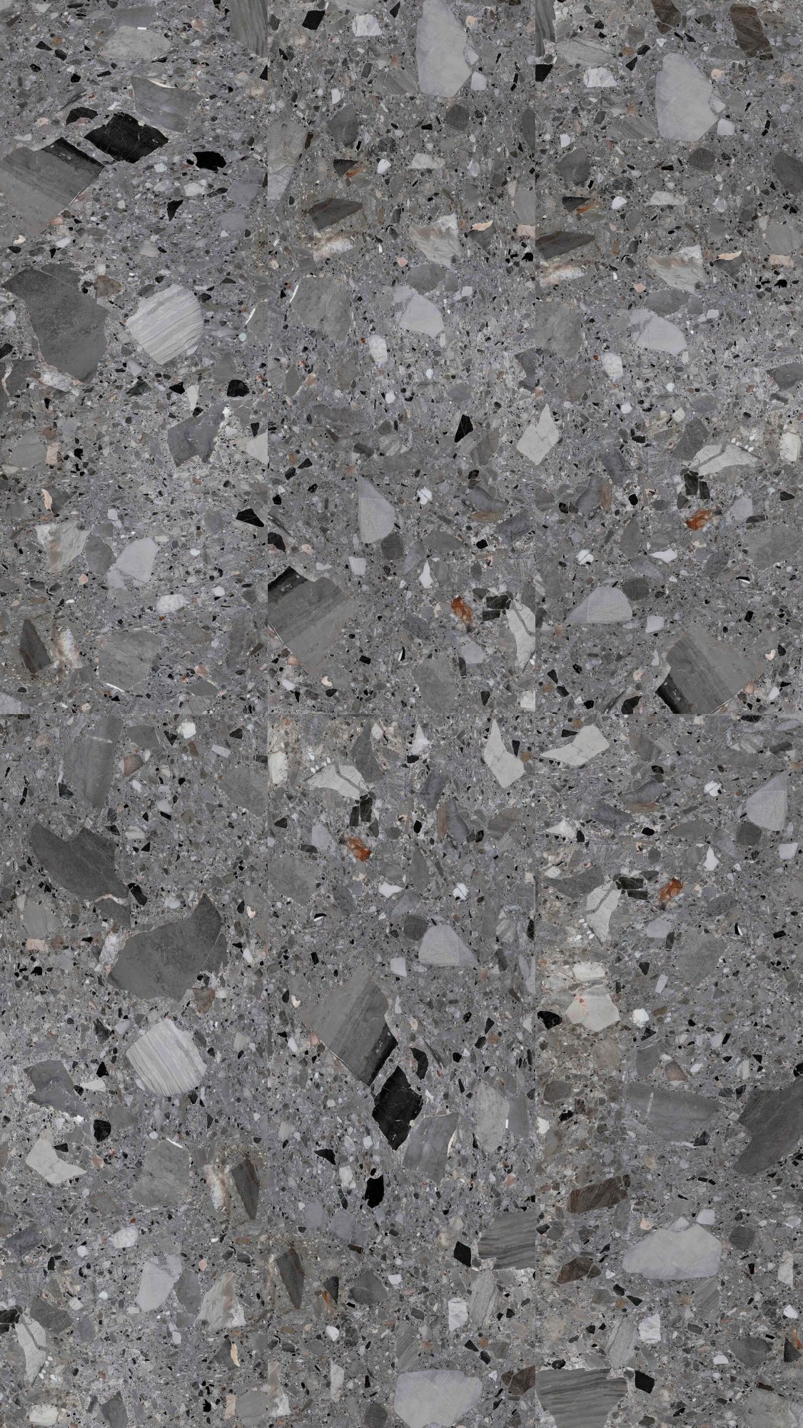 Fossilized lime terrazzo BIGCC12329LS093L image 2