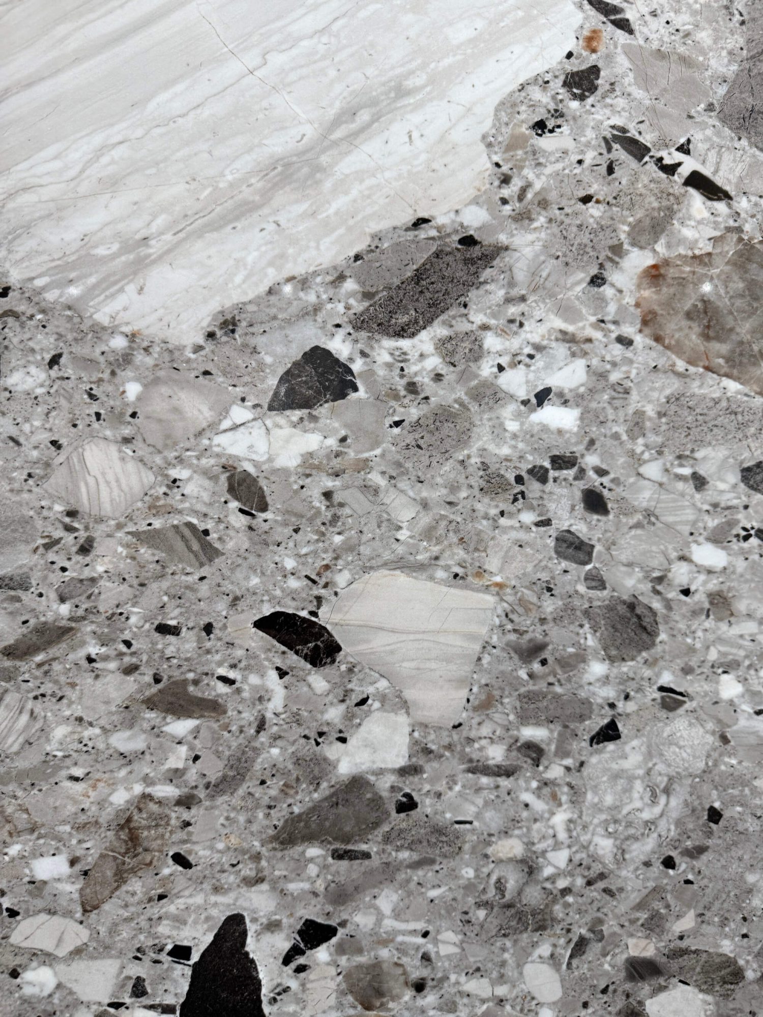 Fossilized lime terrazzo BIGCC12329LS093L image 4