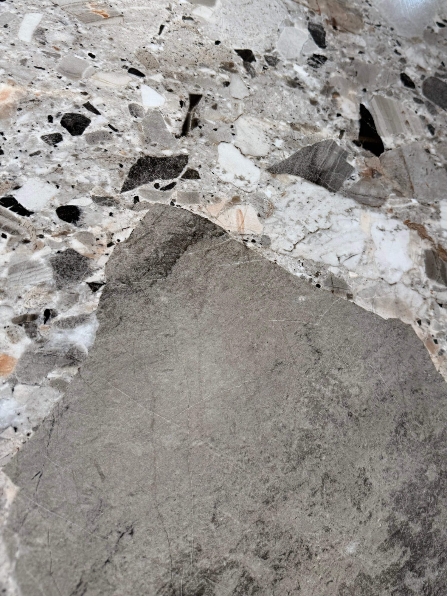 Fossilized lime terrazzo BIGCC12329LS093L image 5