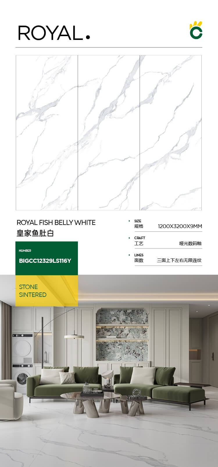 皇家鱼肚白