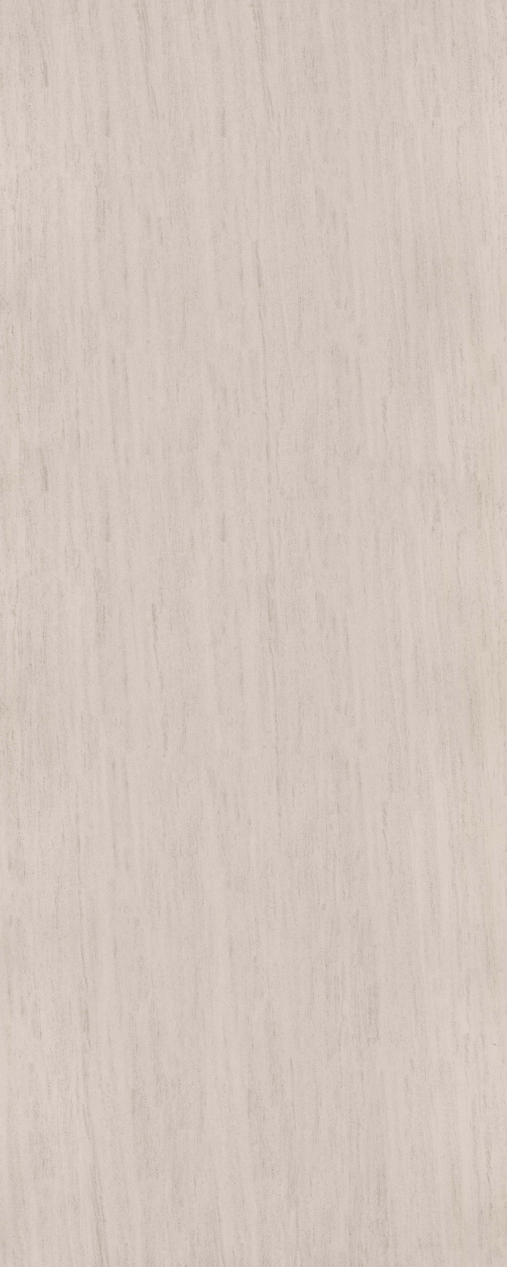 French petrified wood BIGCC12329LS410Y image 2