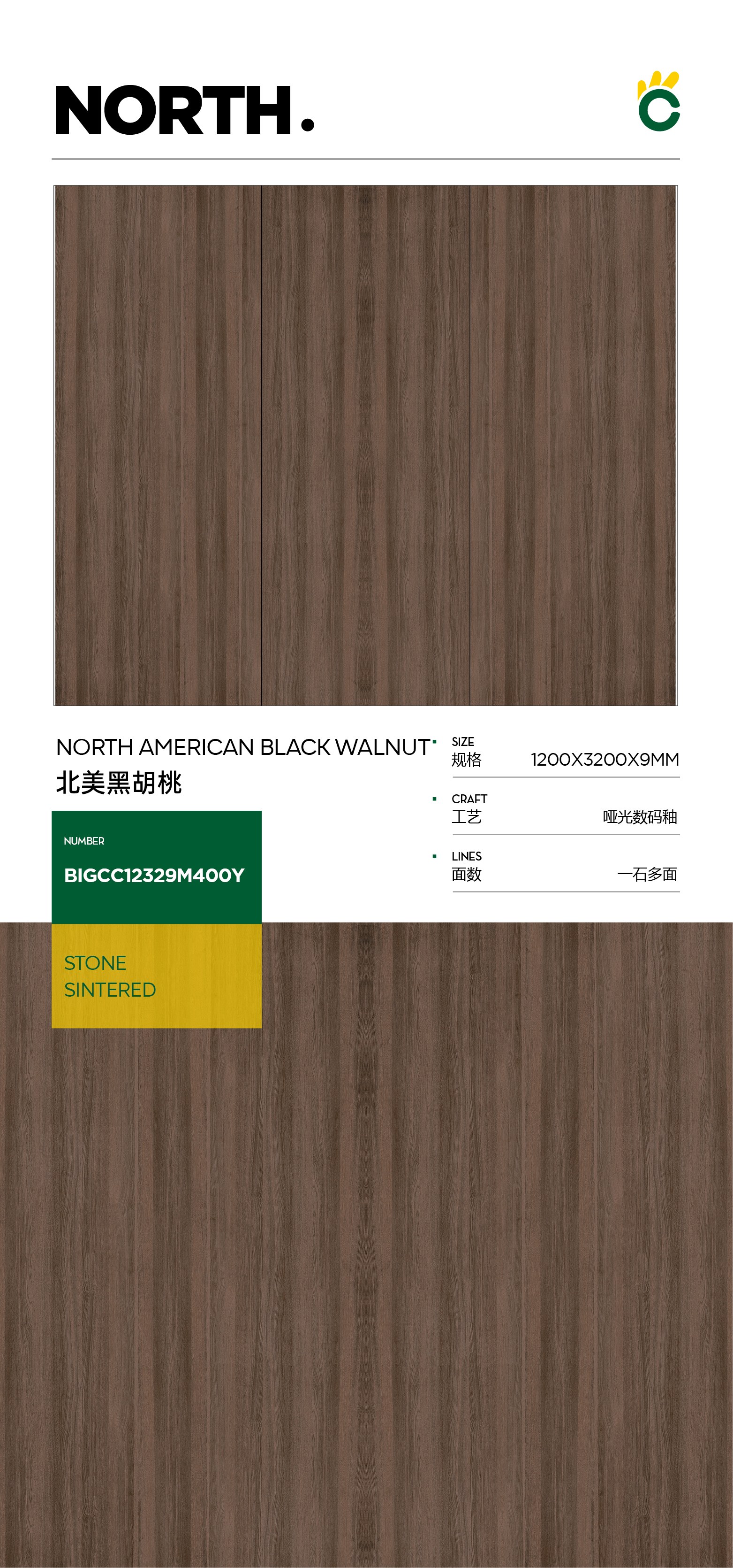 North American black walnut