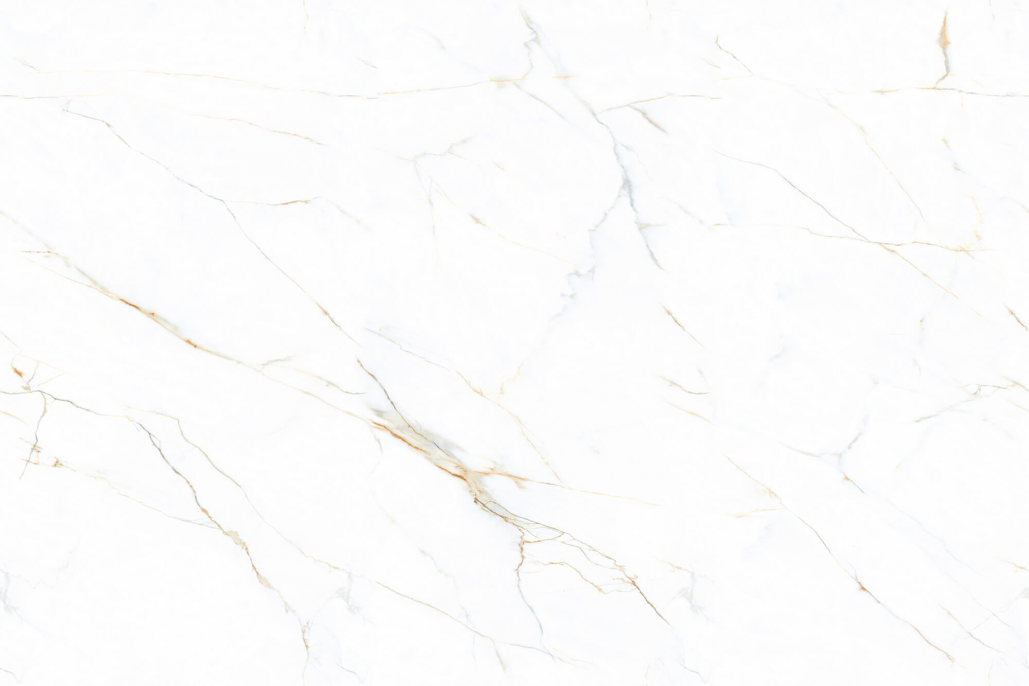 Italian golden silk white BIGCC1249939F image 2