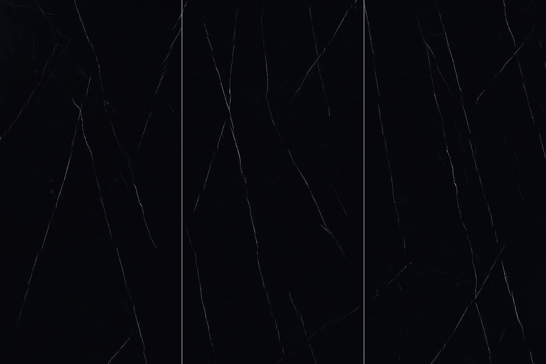 Fine lines black and white roots BIGCC12791230L image 2