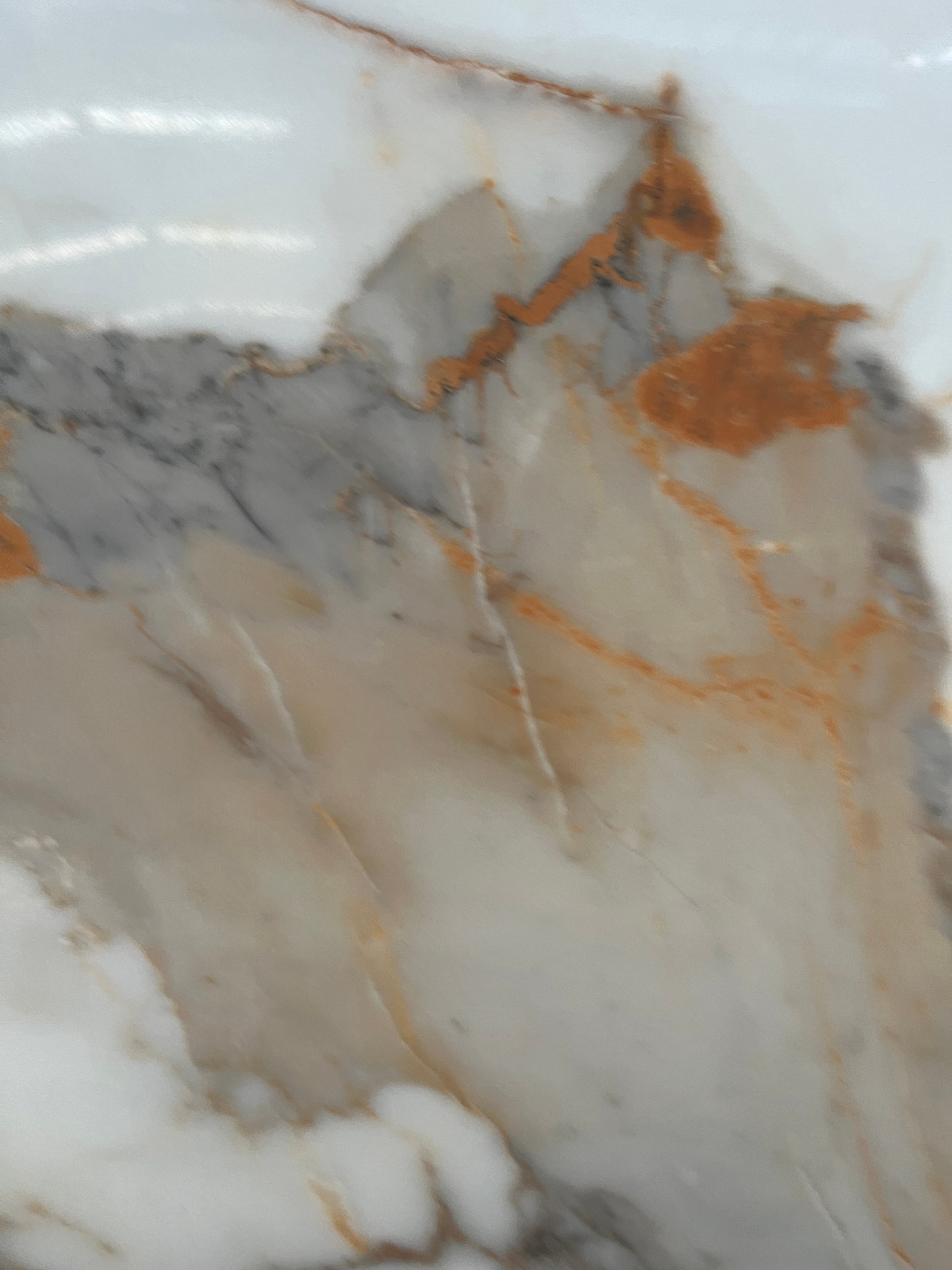魚腹ゴールド BIGCC12791254L image 4