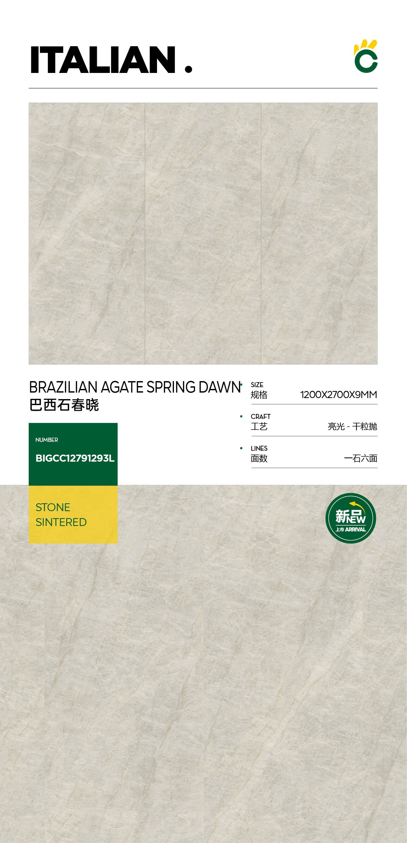 Brazilian Shi Chunxiao