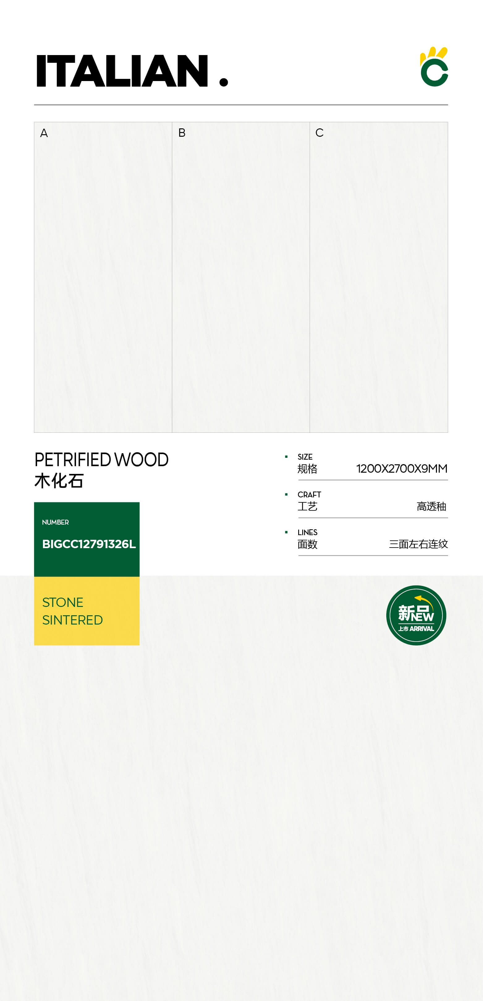 petrified wood BIGCC12791326L image 1
