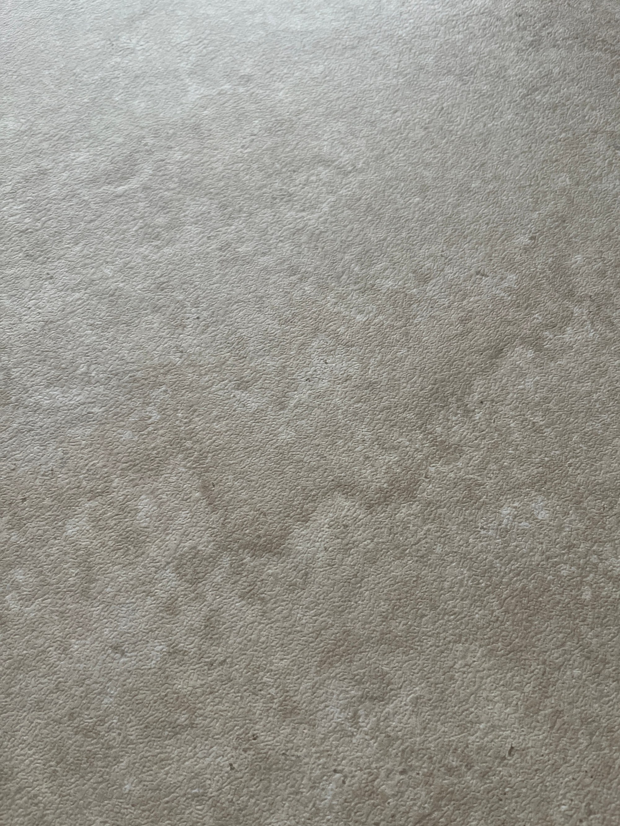 French Limestone BIGCC12791365SM image 3