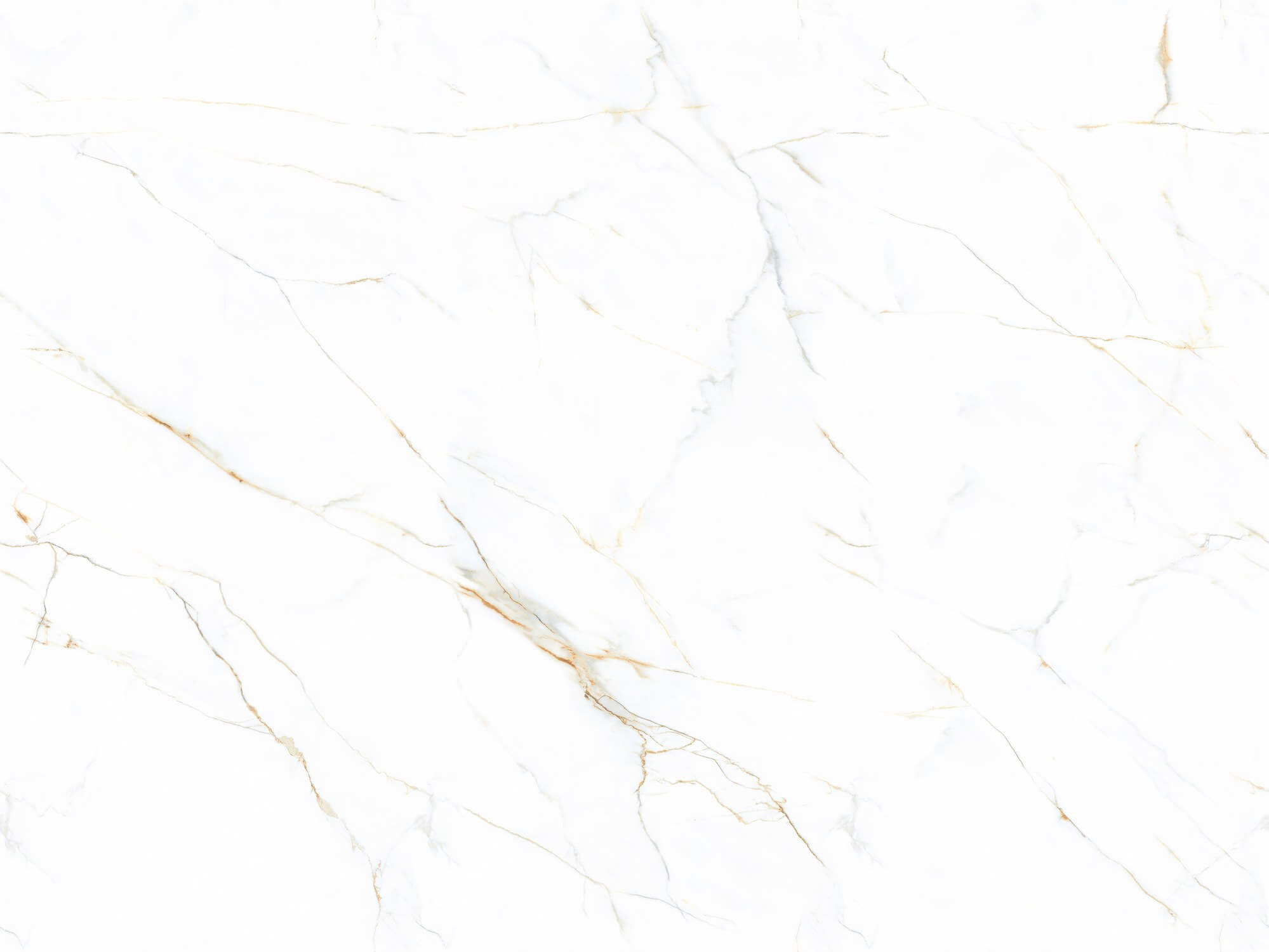 Italian golden silk white BIGCC1279939F image 2