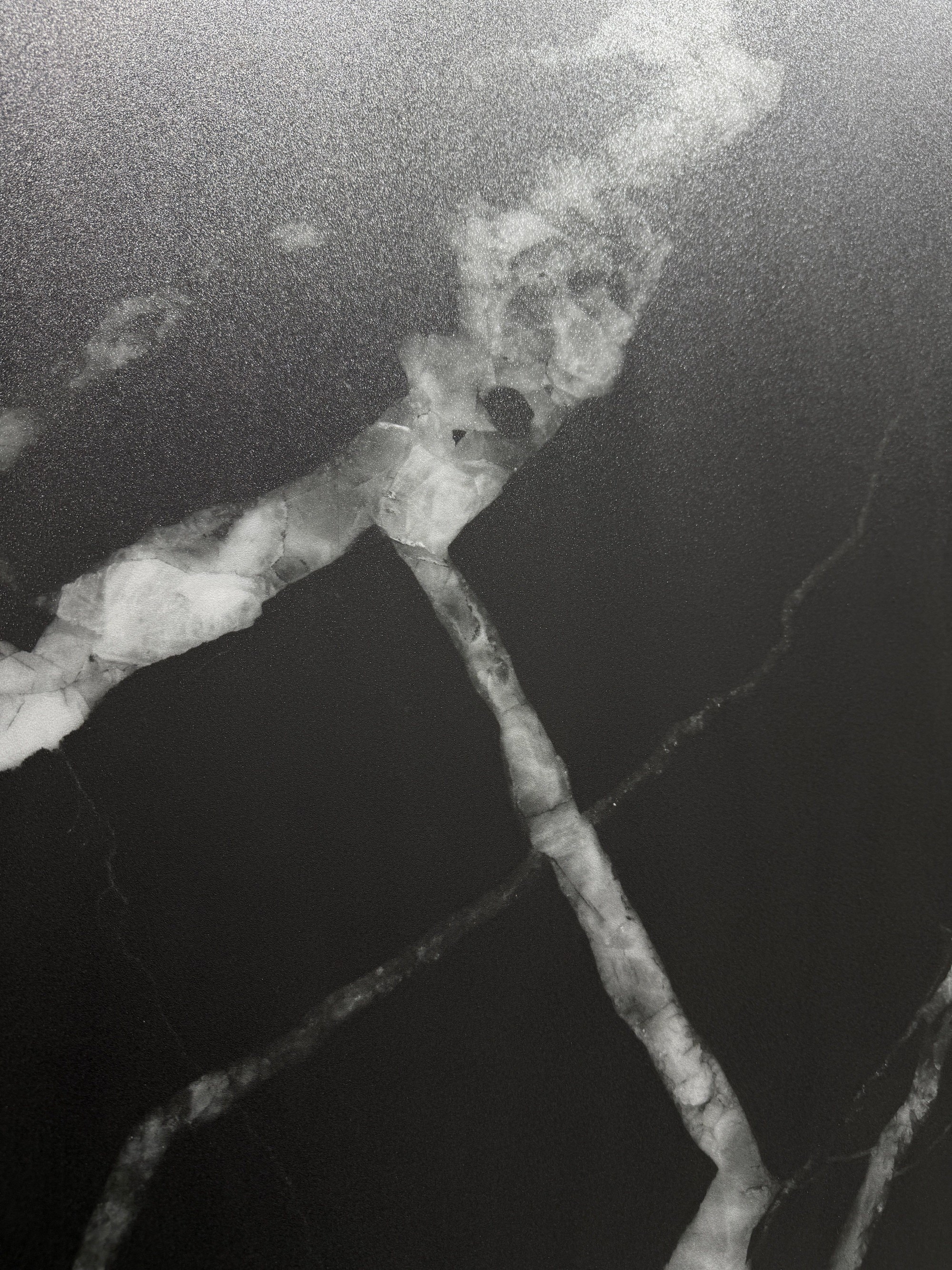 Black and white roots BIGCC1832B1358SY image 3