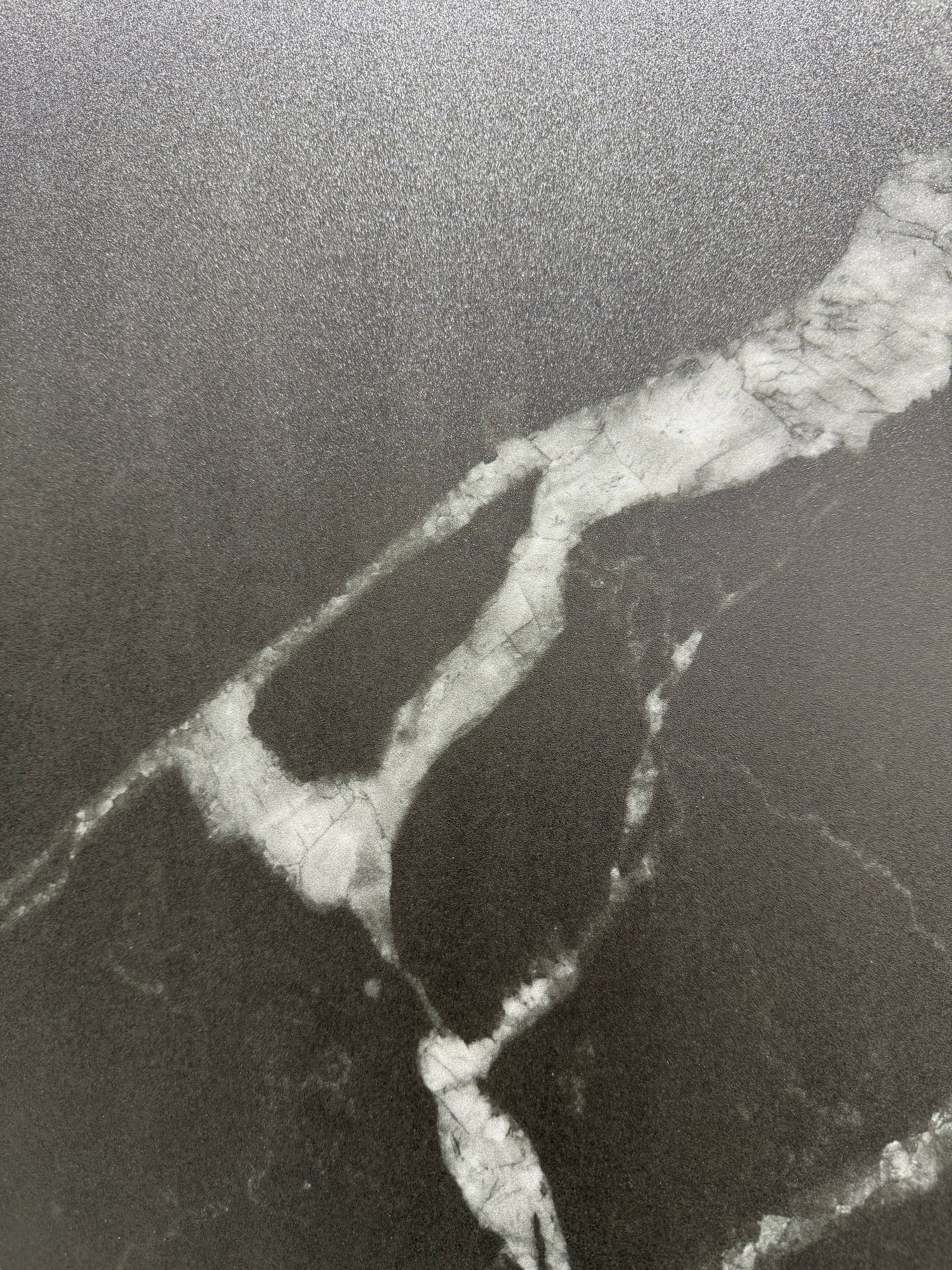 Black and white roots BIGCC1832B1358SY image 4