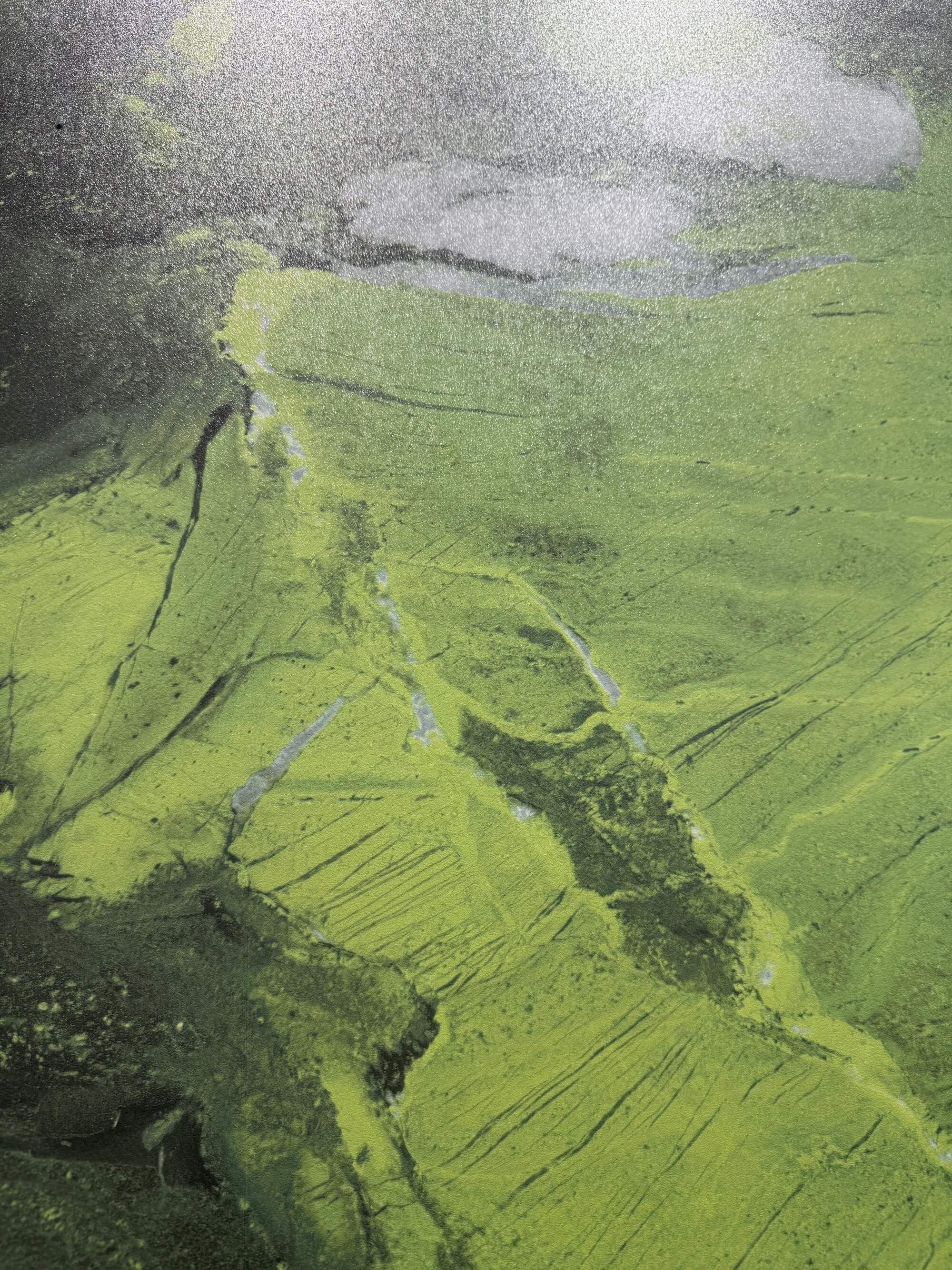Avocadogrün BIGCC1832G1338SY image 3