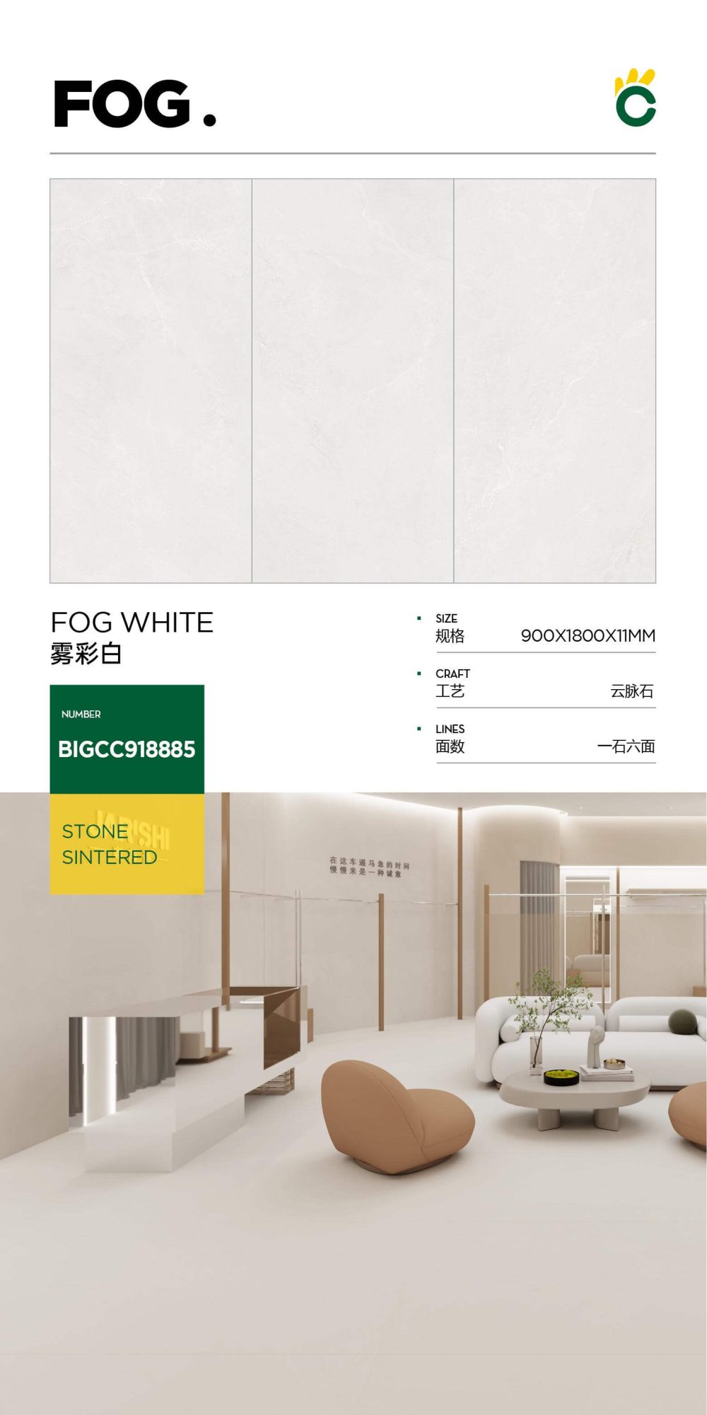 matte white BIGCC918885 image 1