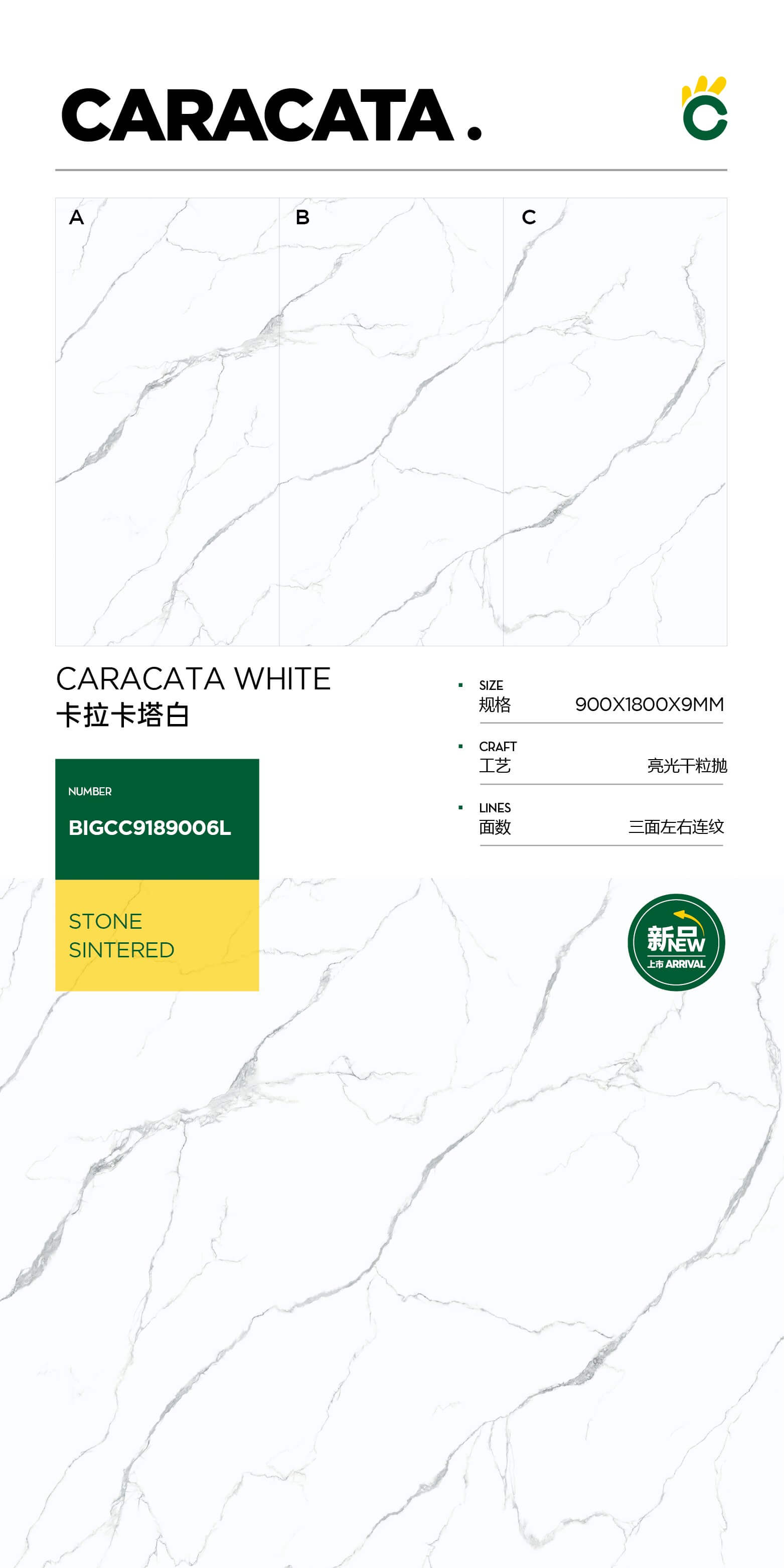 Calacatta White