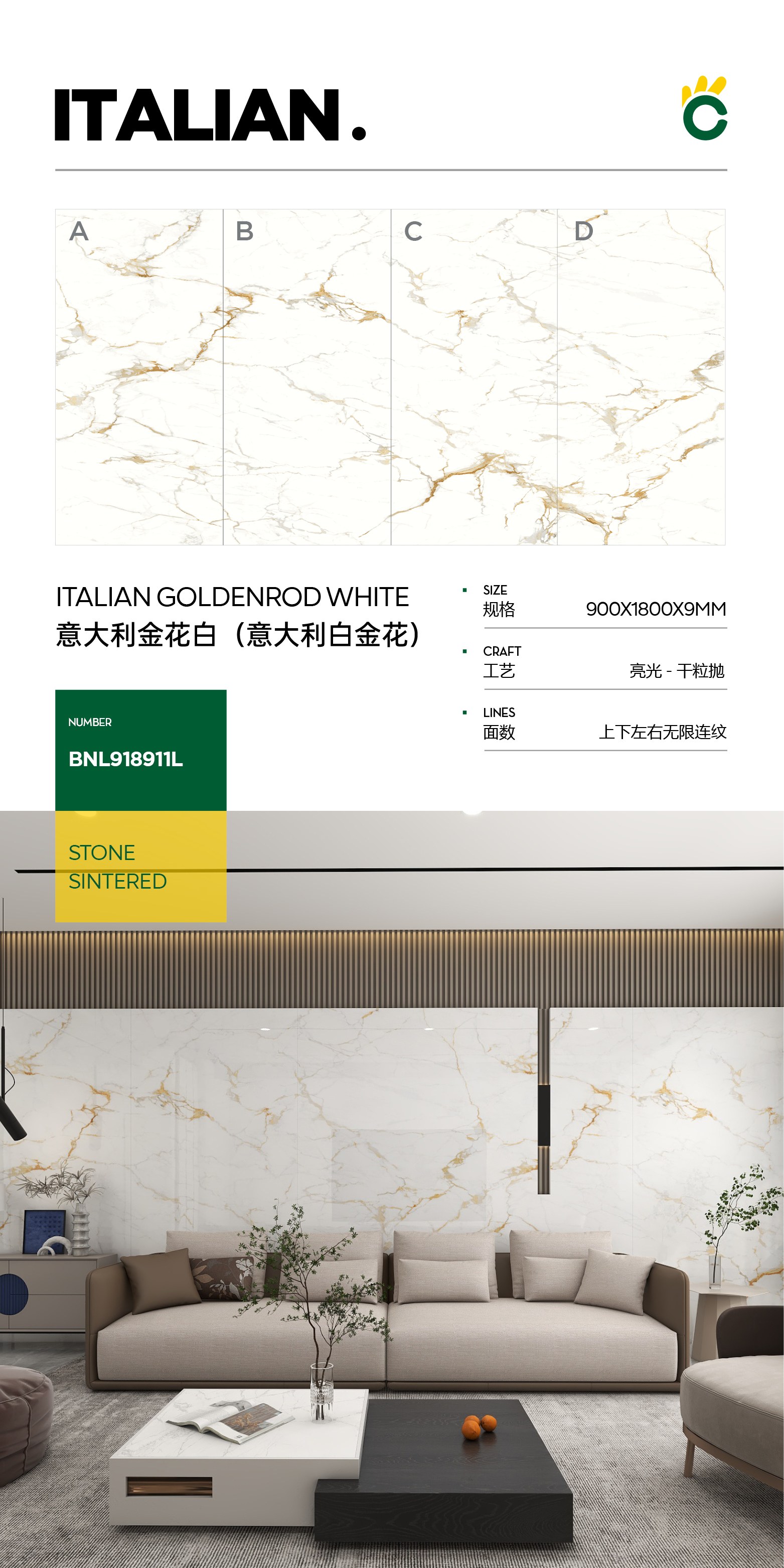 Italian Golden Flower White (Italian Golden Flower)